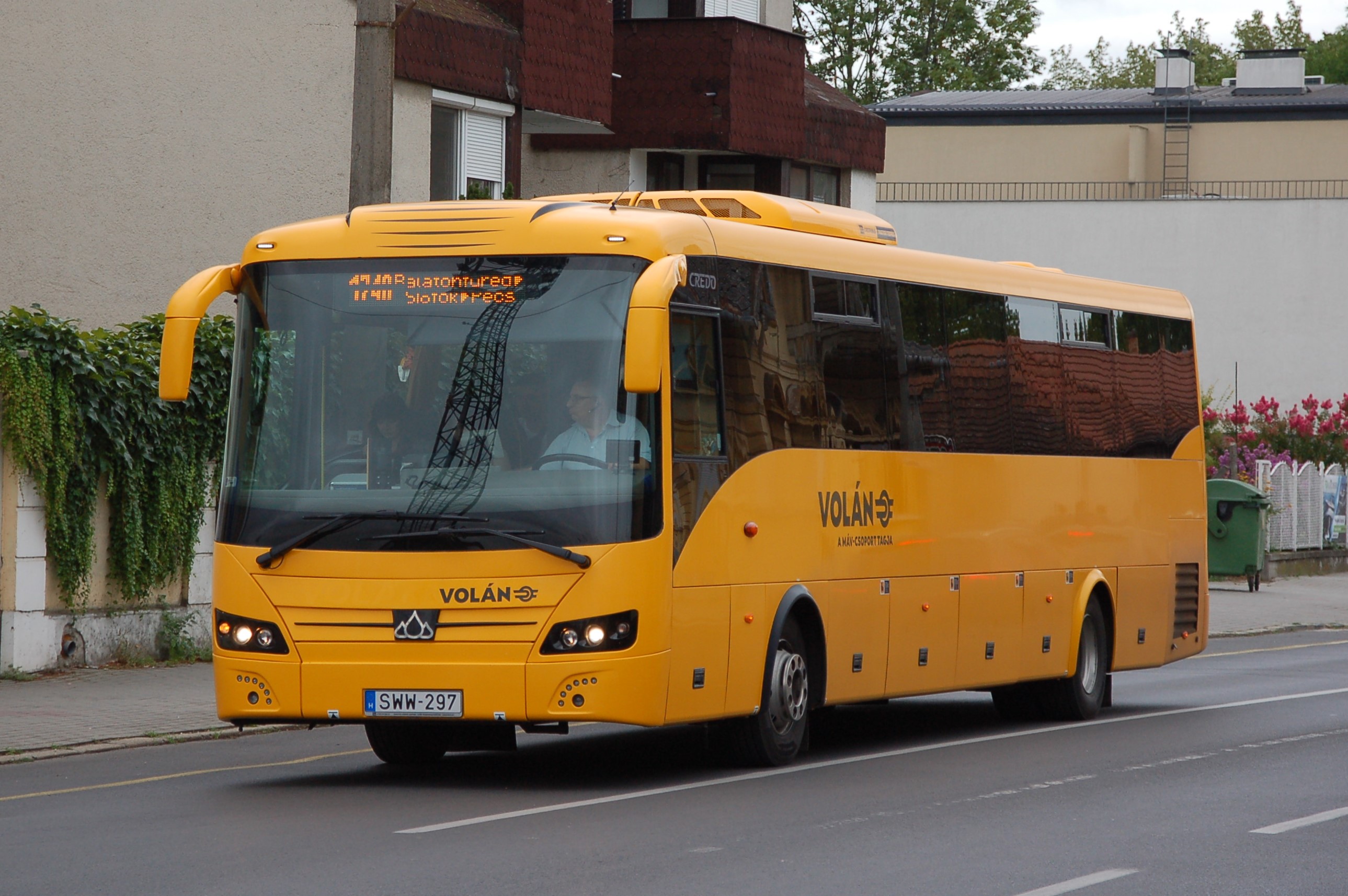 dsc_0382_2.JPG