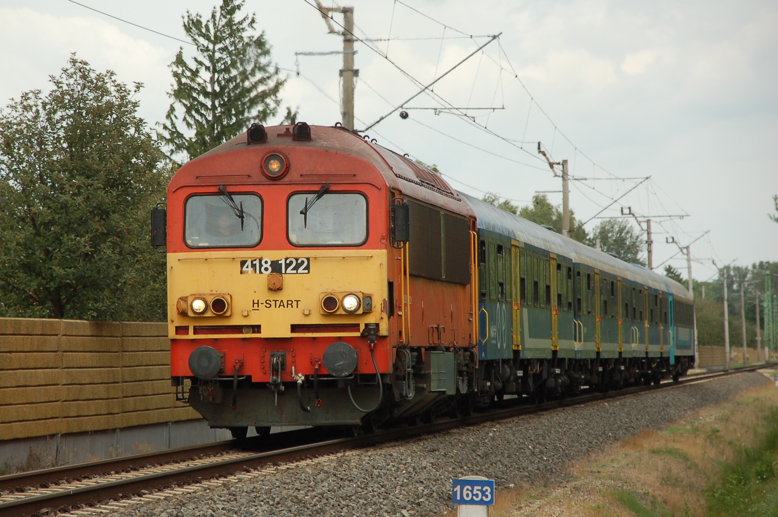 dsc_0431.JPG