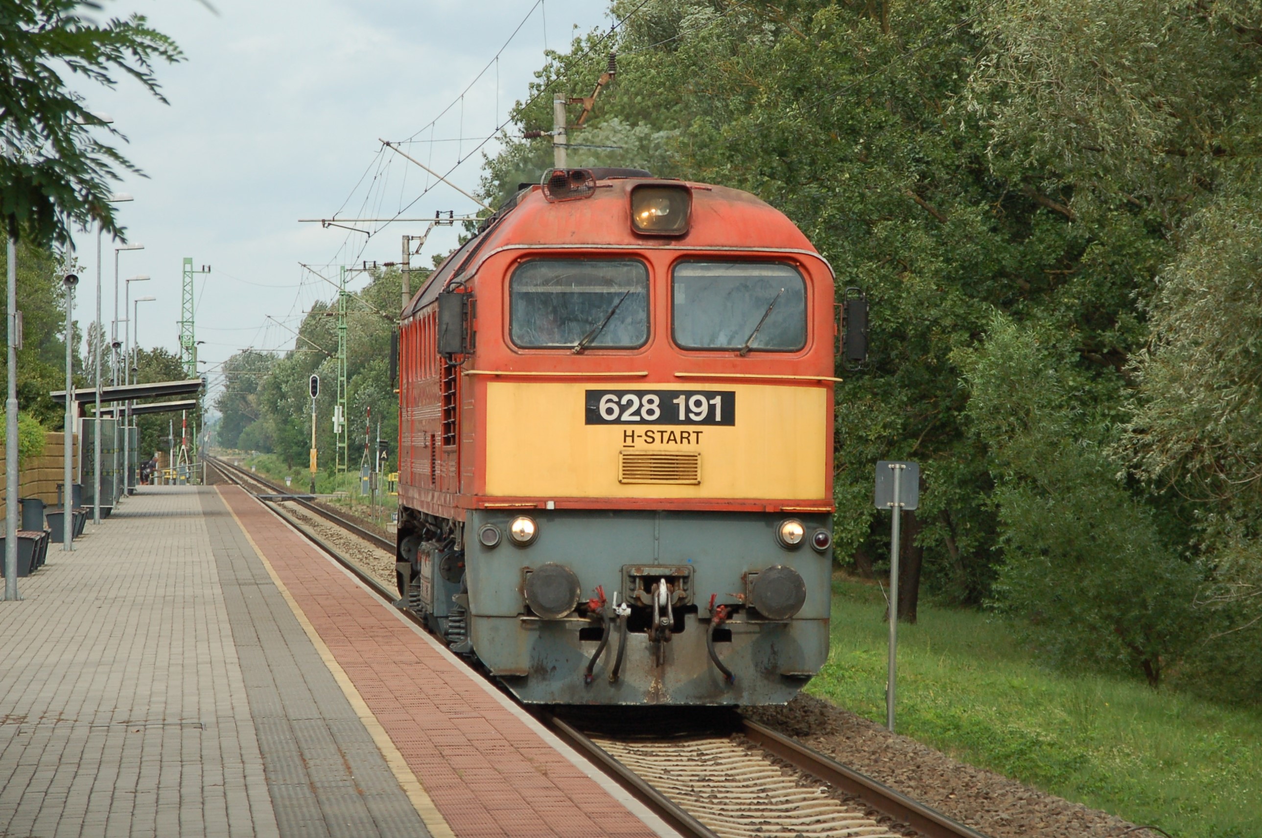 dsc_0446.JPG