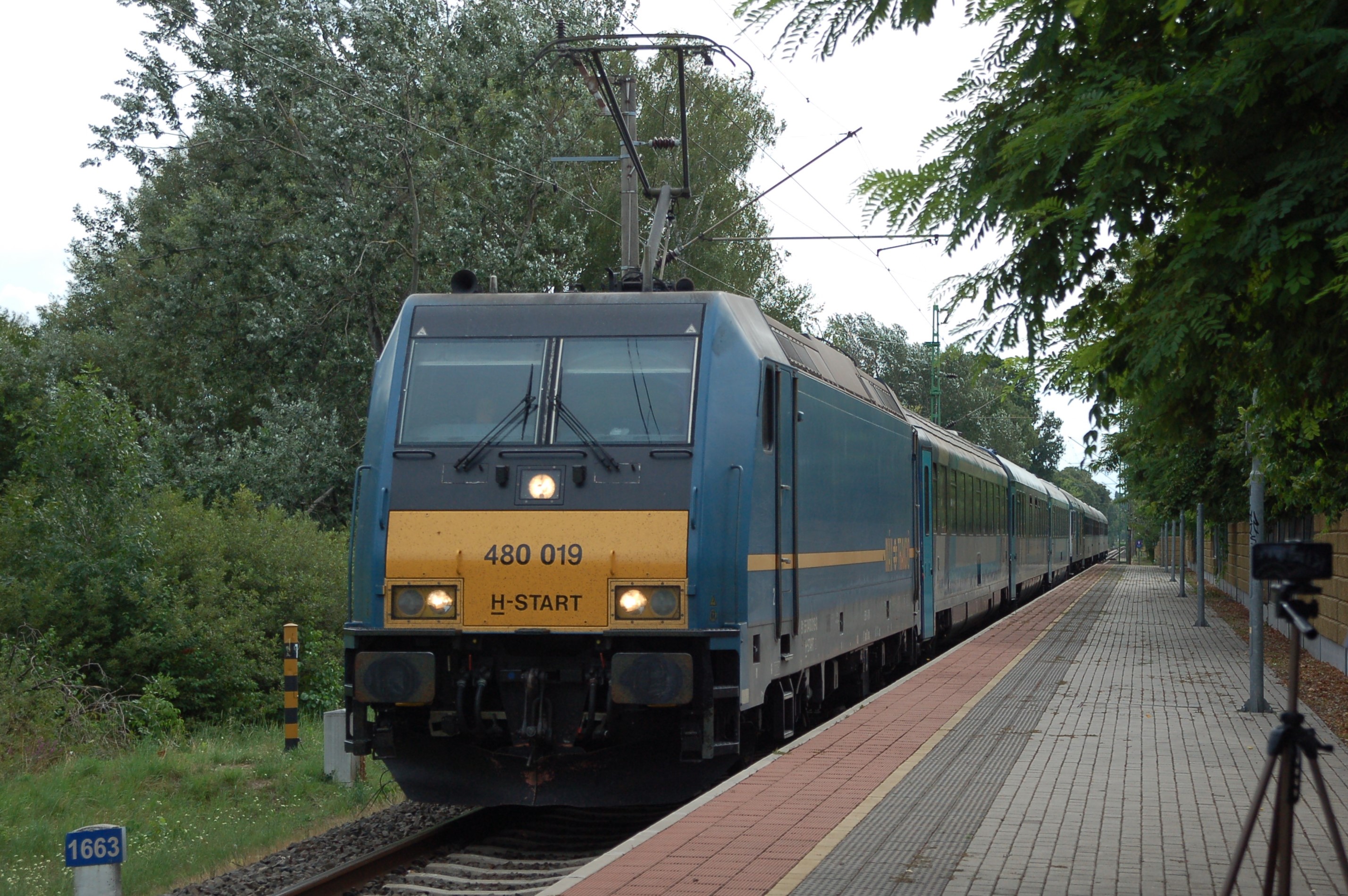 dsc_0453.JPG