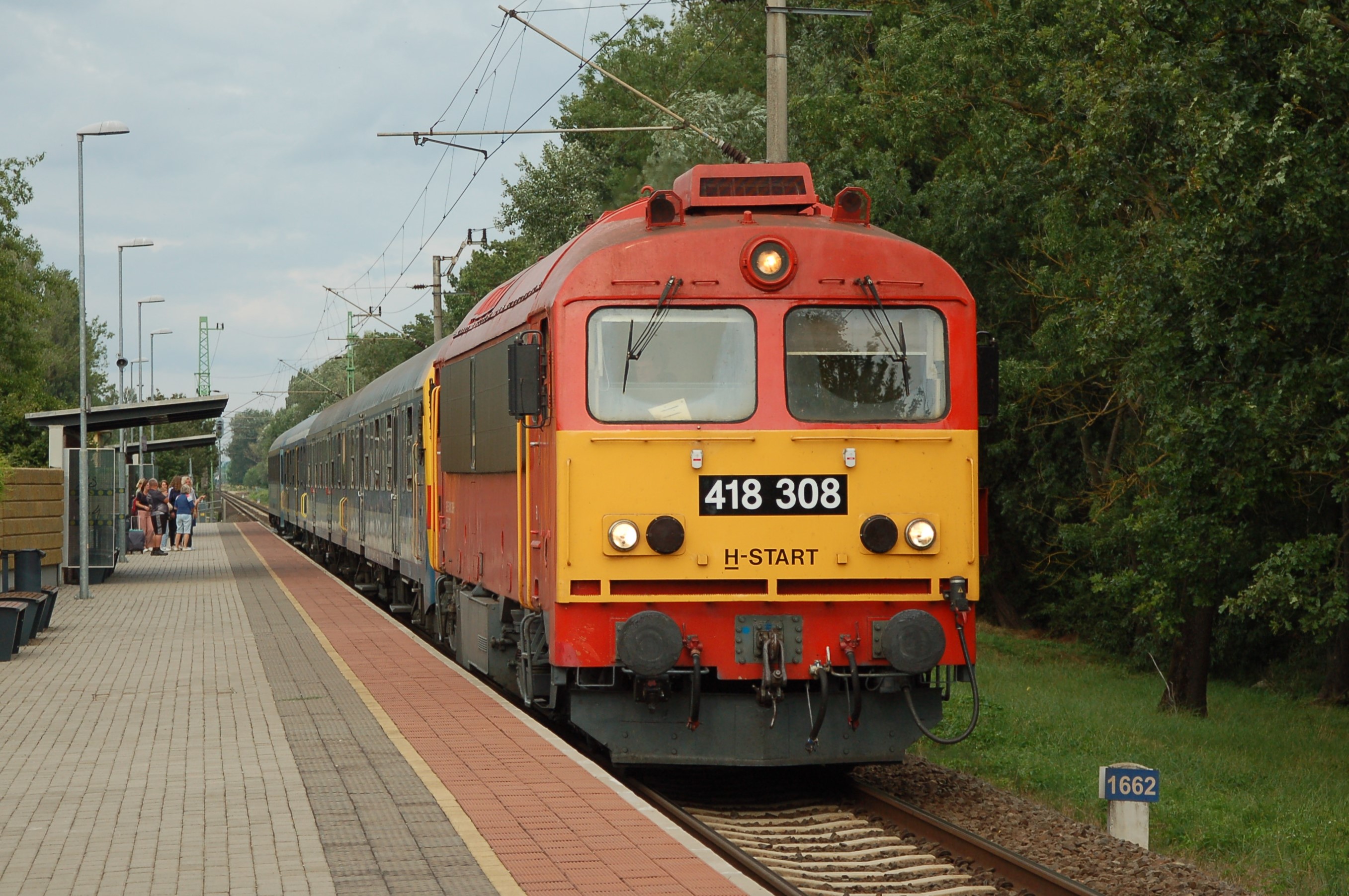 dsc_0466.JPG