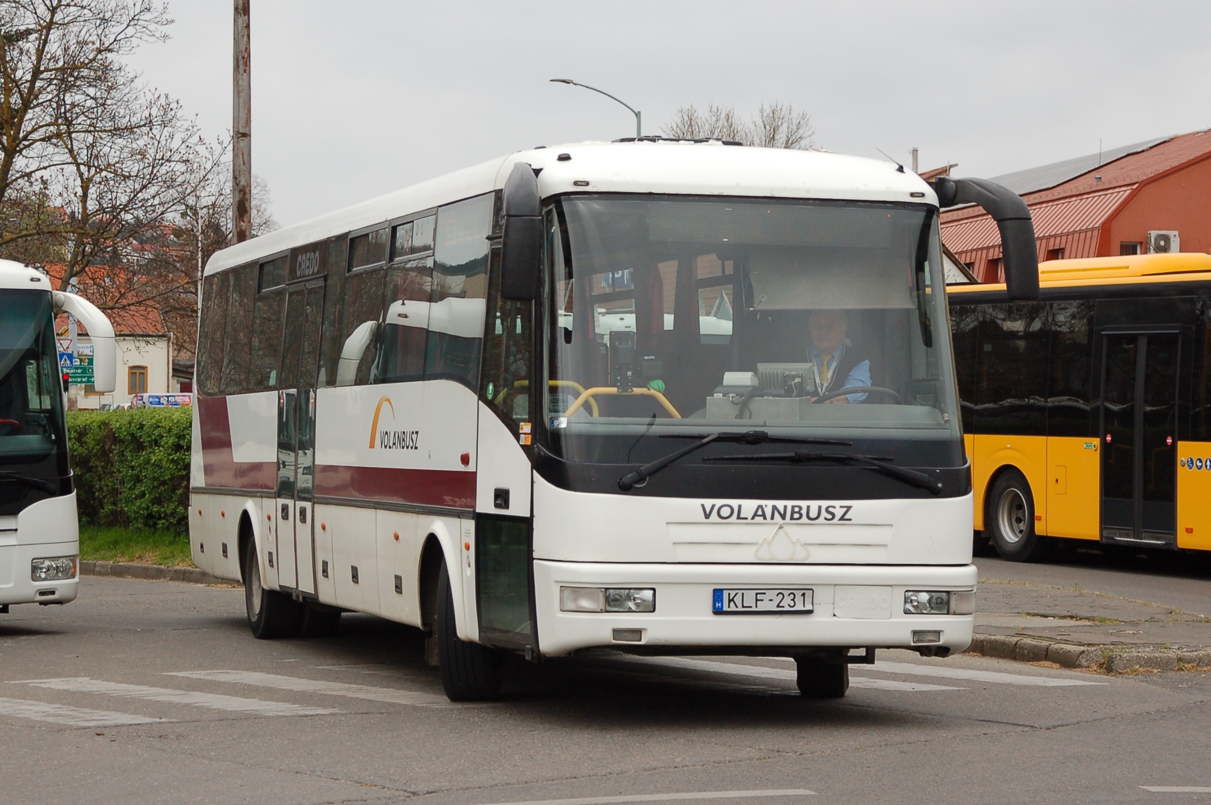 dsc_0474.JPG