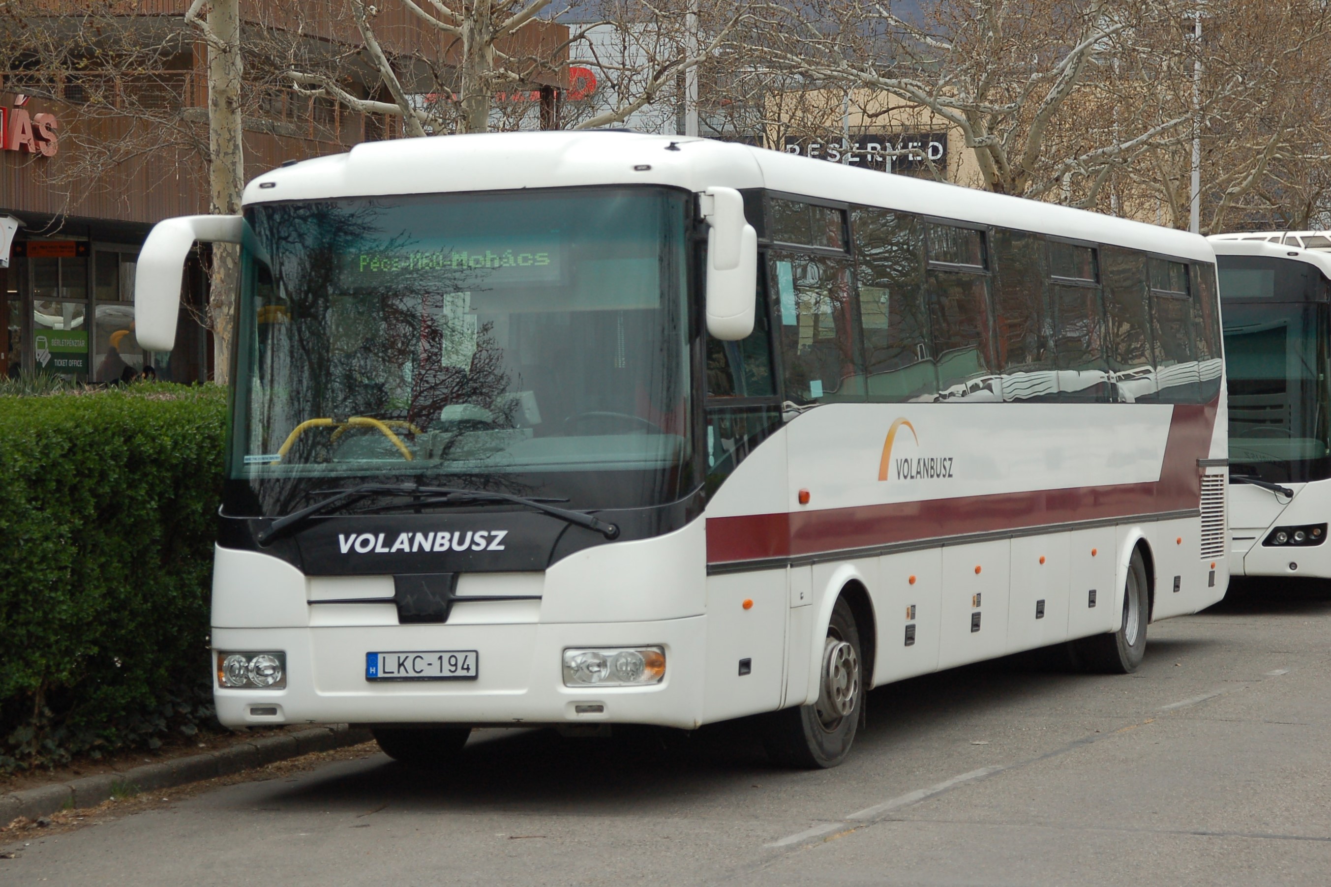 dsc_0486.JPG