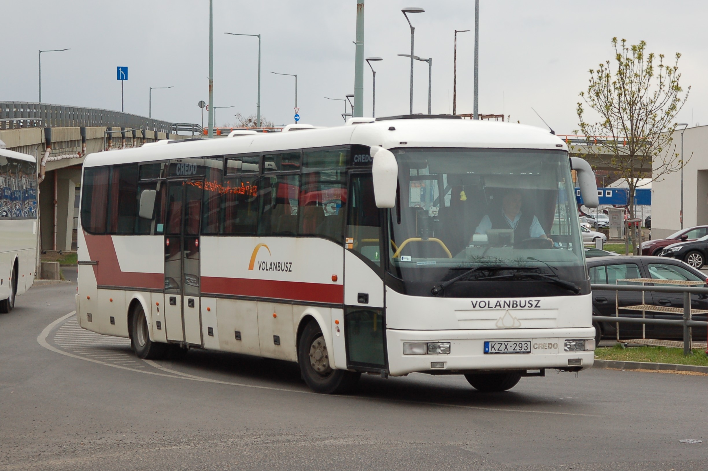 dsc_0502.JPG