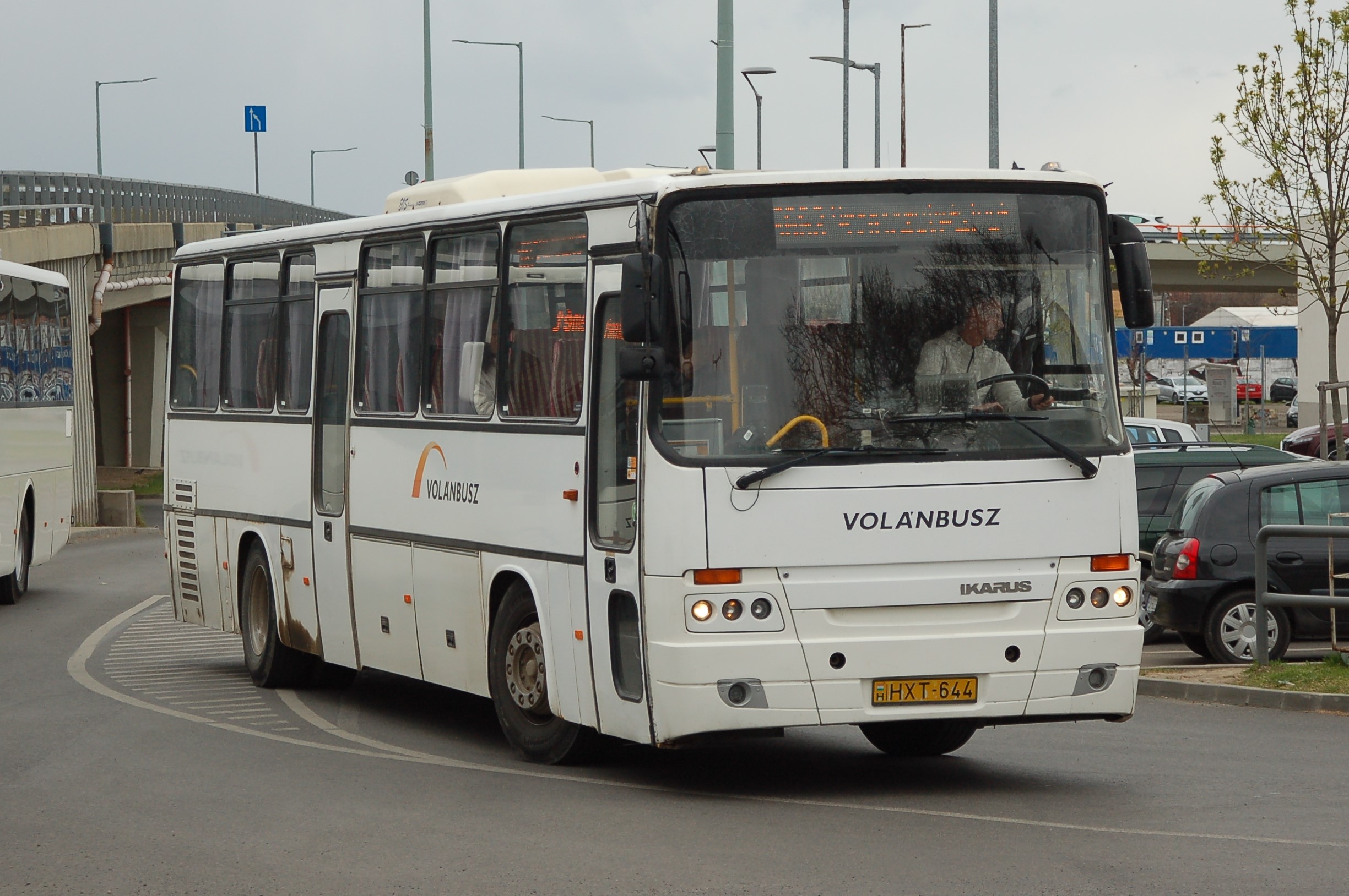 dsc_0504.JPG