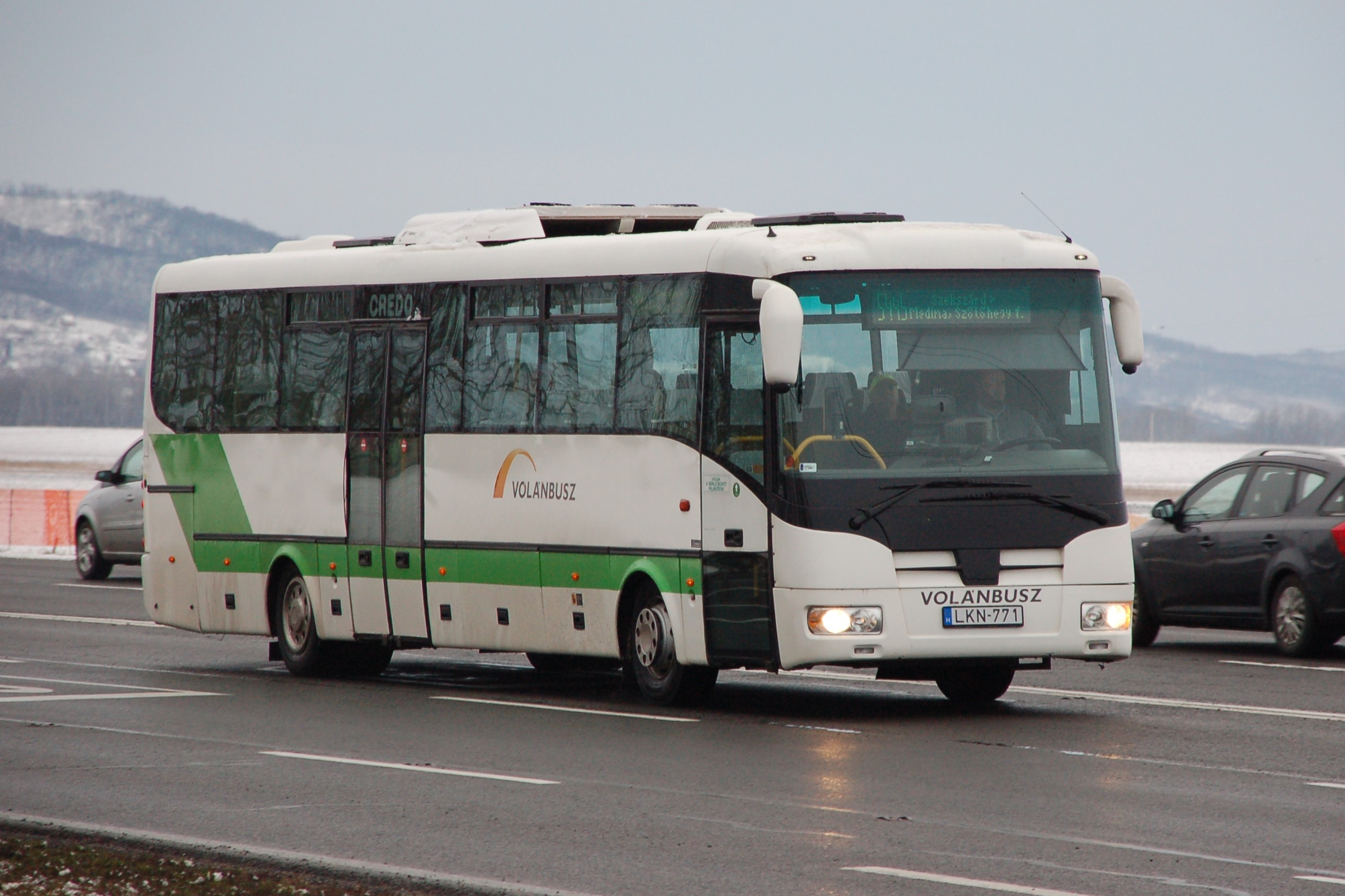 dsc_0597_1.JPG