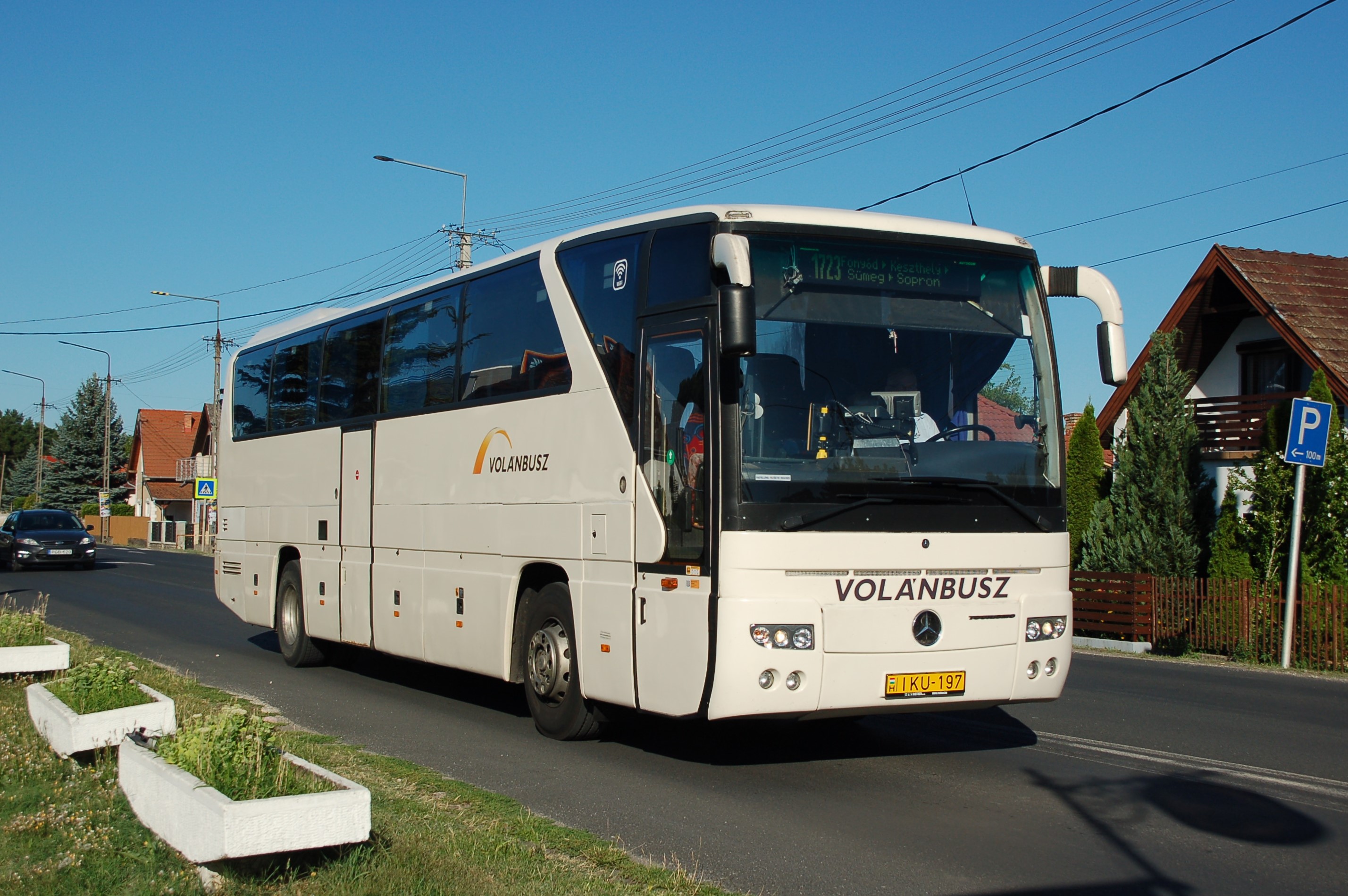 dsc_0647.JPG