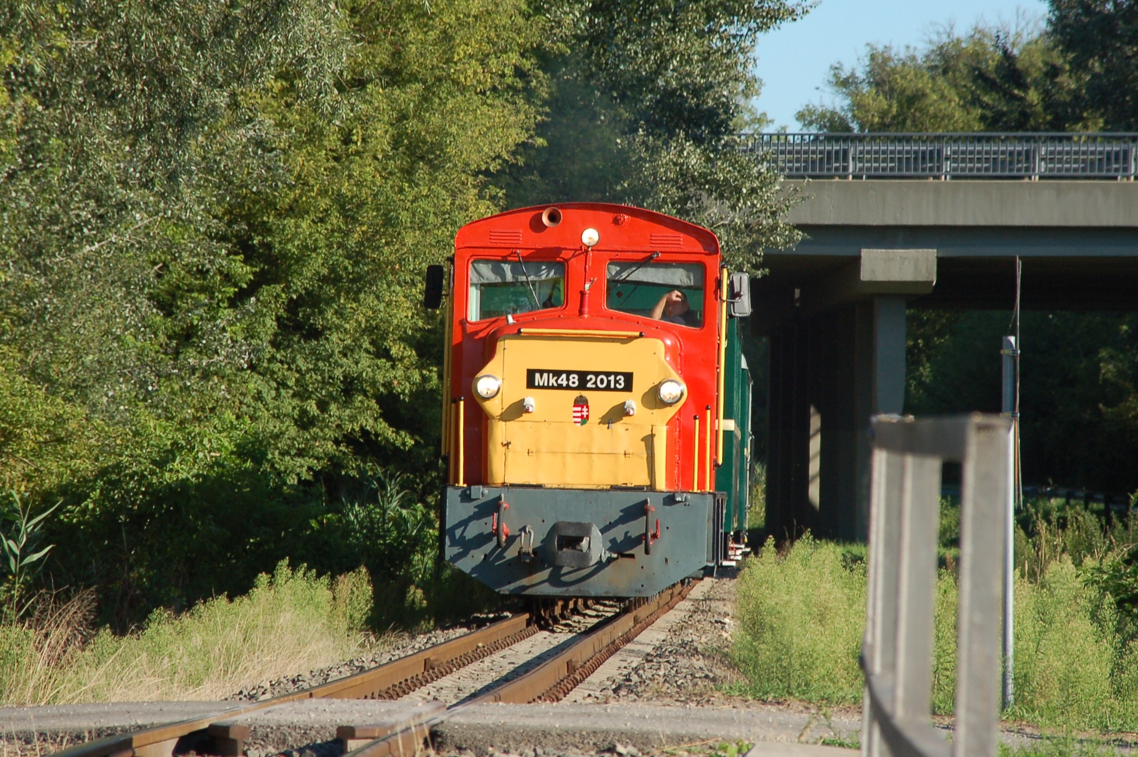 dsc_0654_2.JPG