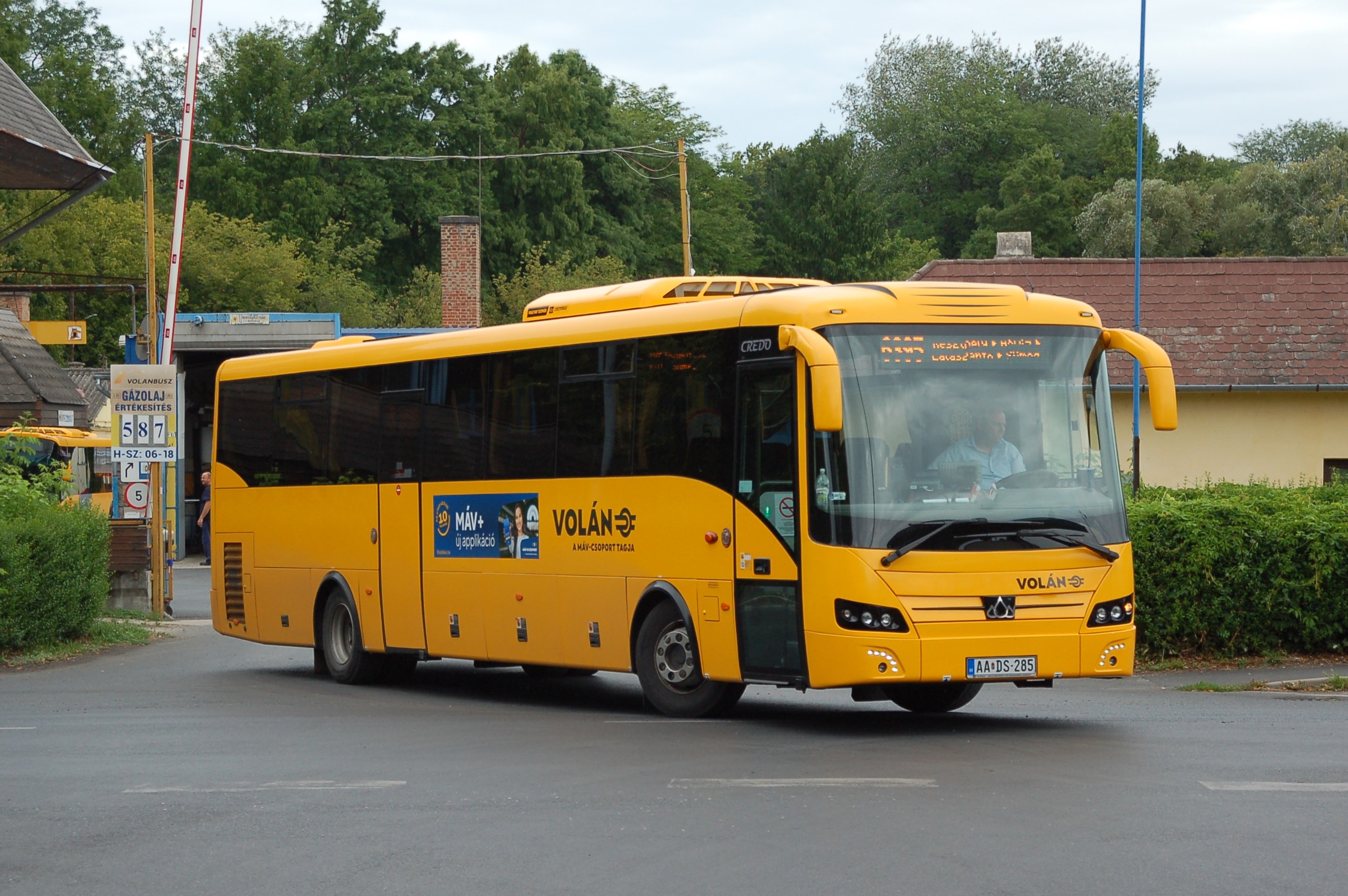 dsc_0664.JPG