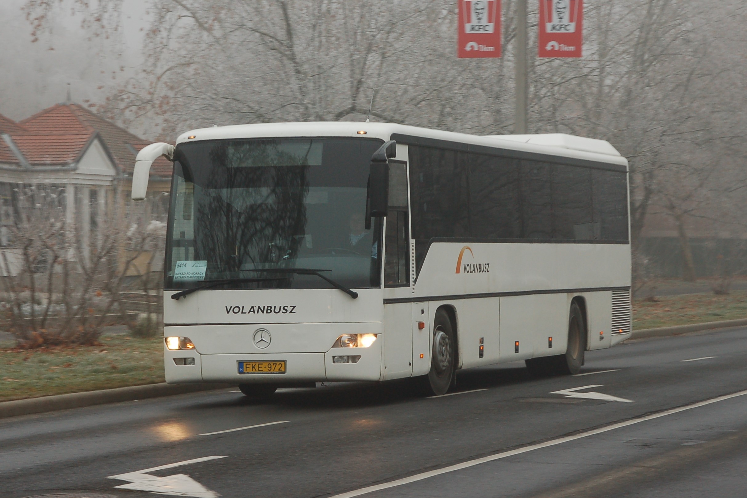 dsc_0966.JPG