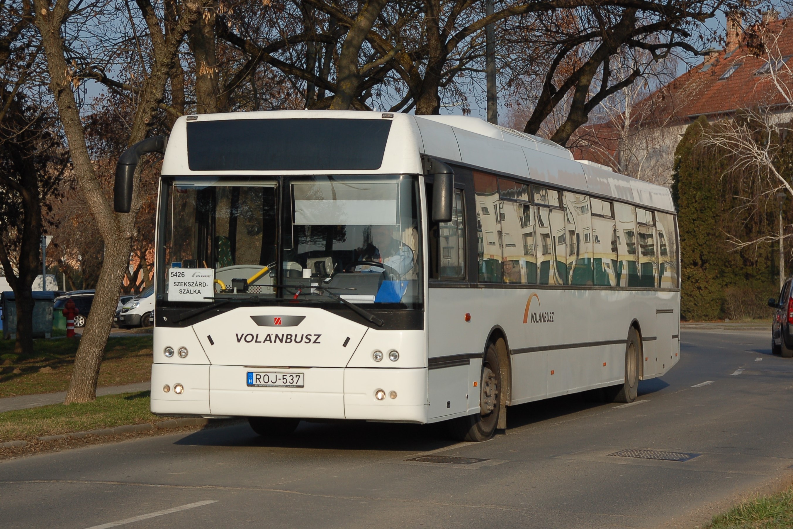dsc_1065.JPG