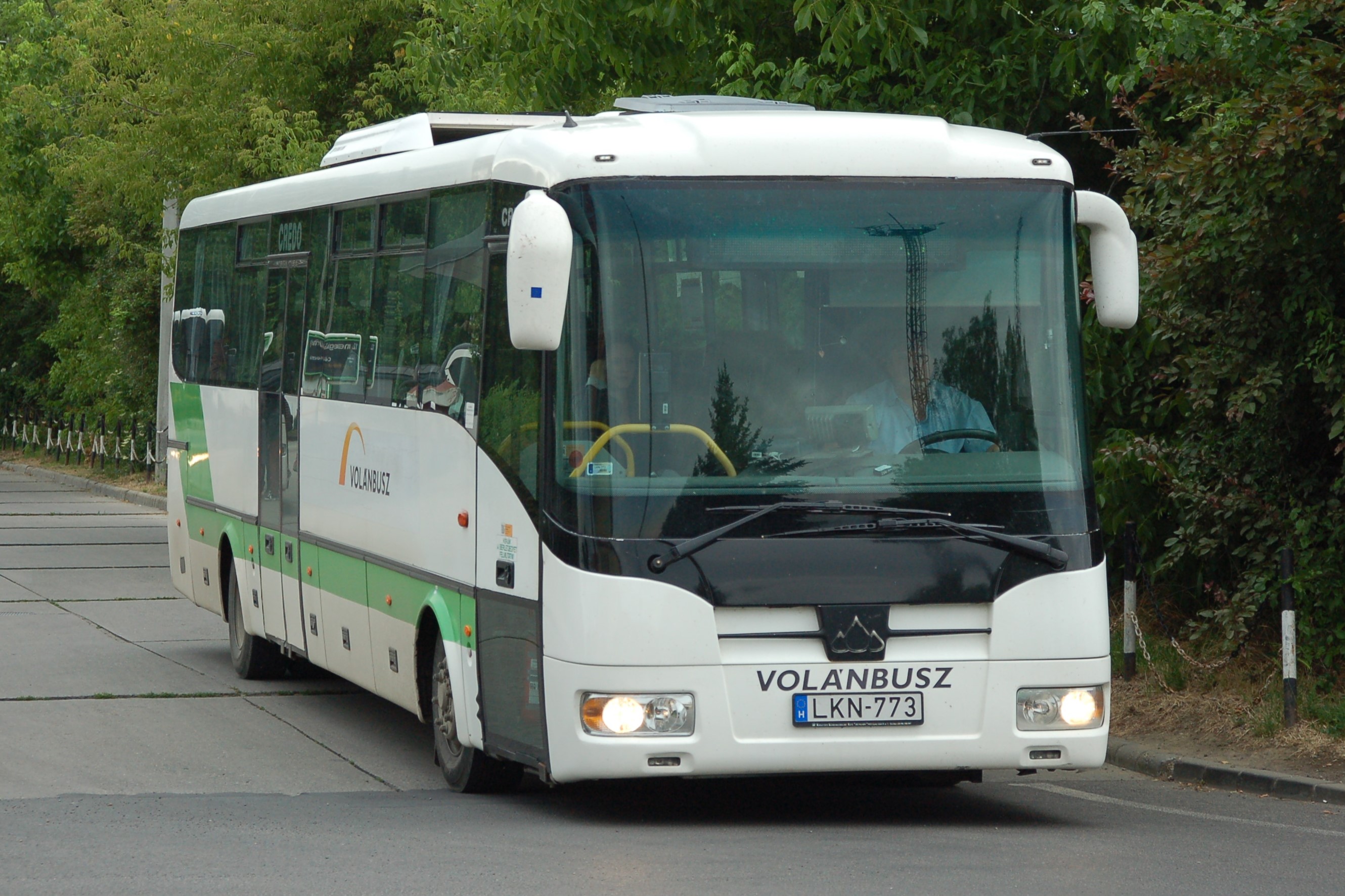 dsc_1256.JPG