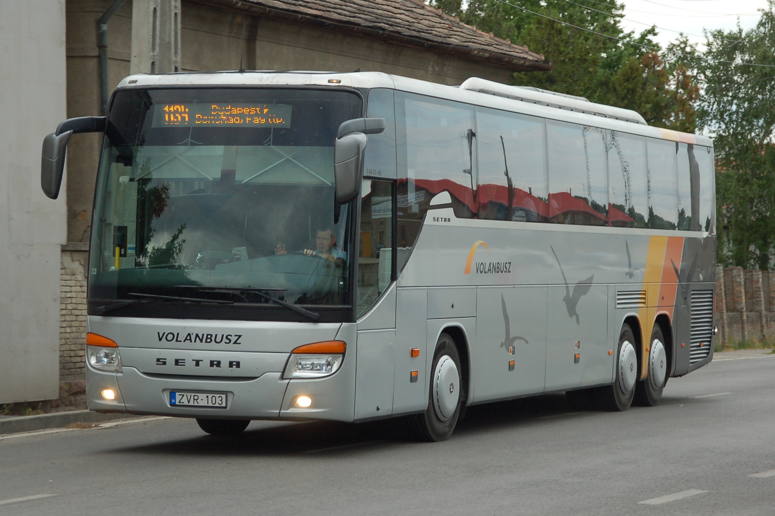 dsc_1262.JPG