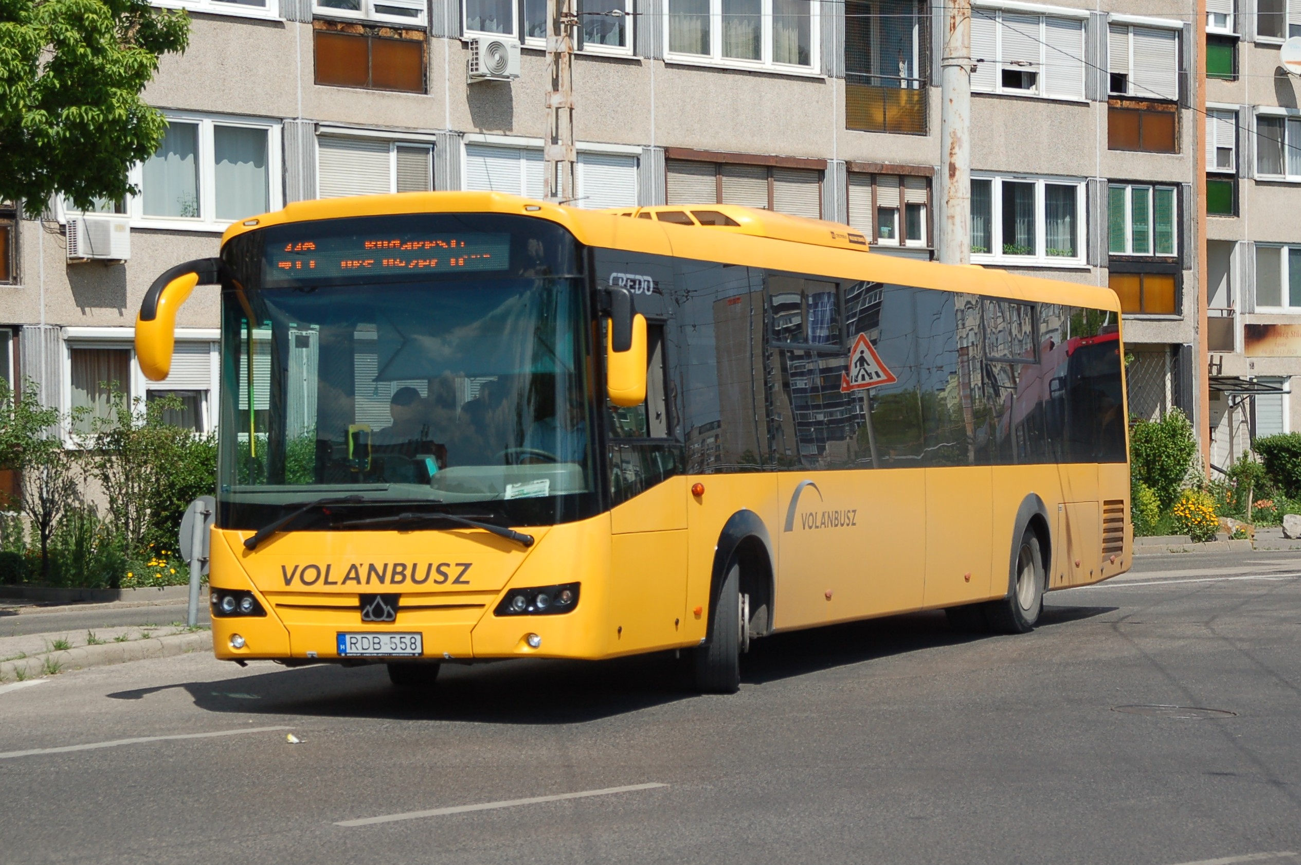 dsc_1411.JPG