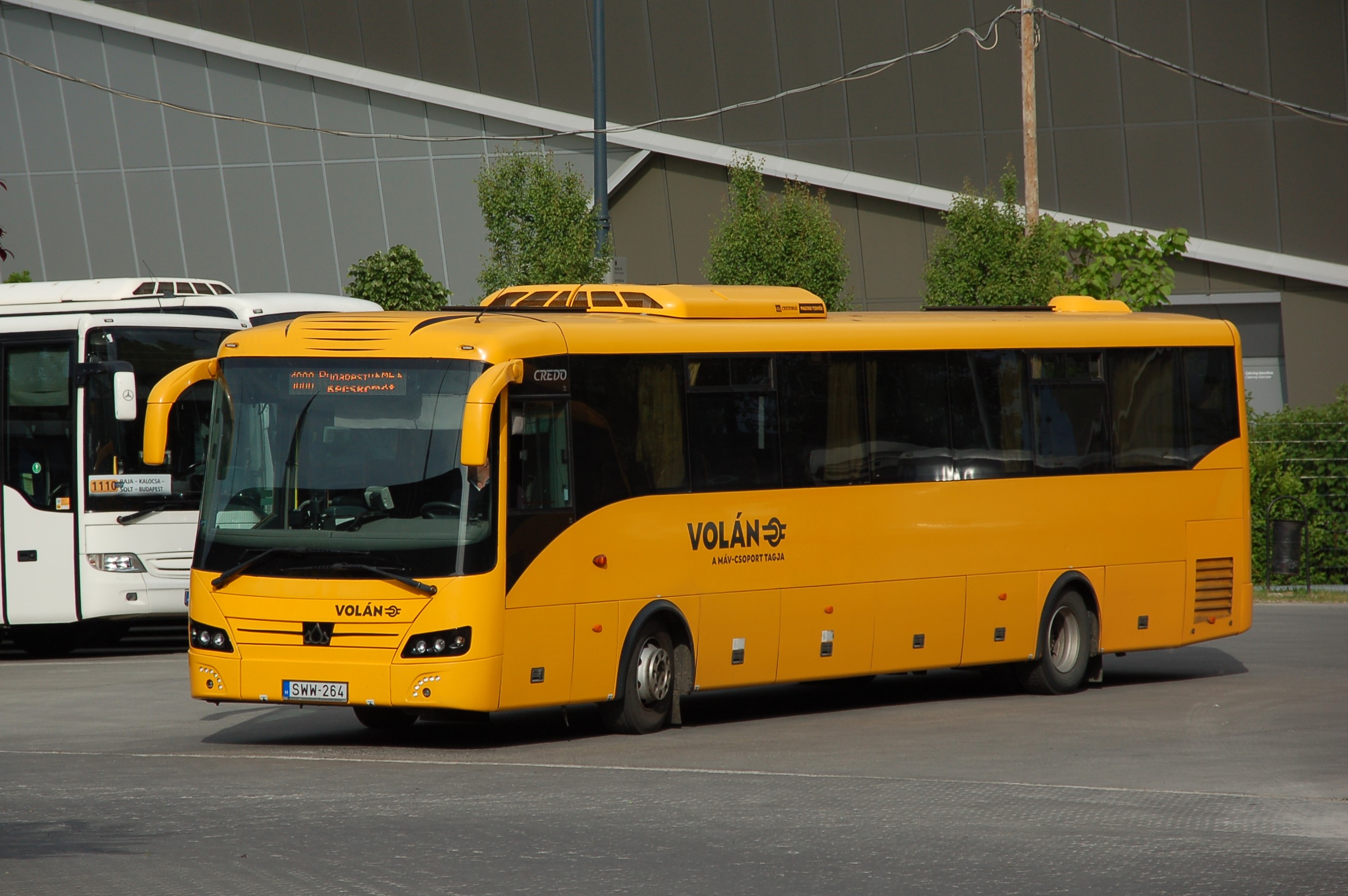 dsc_1913.JPG