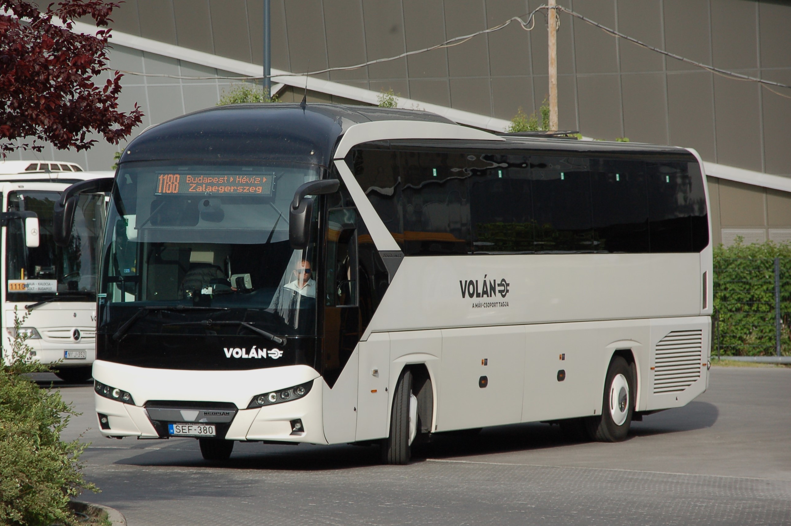 dsc_1945.JPG