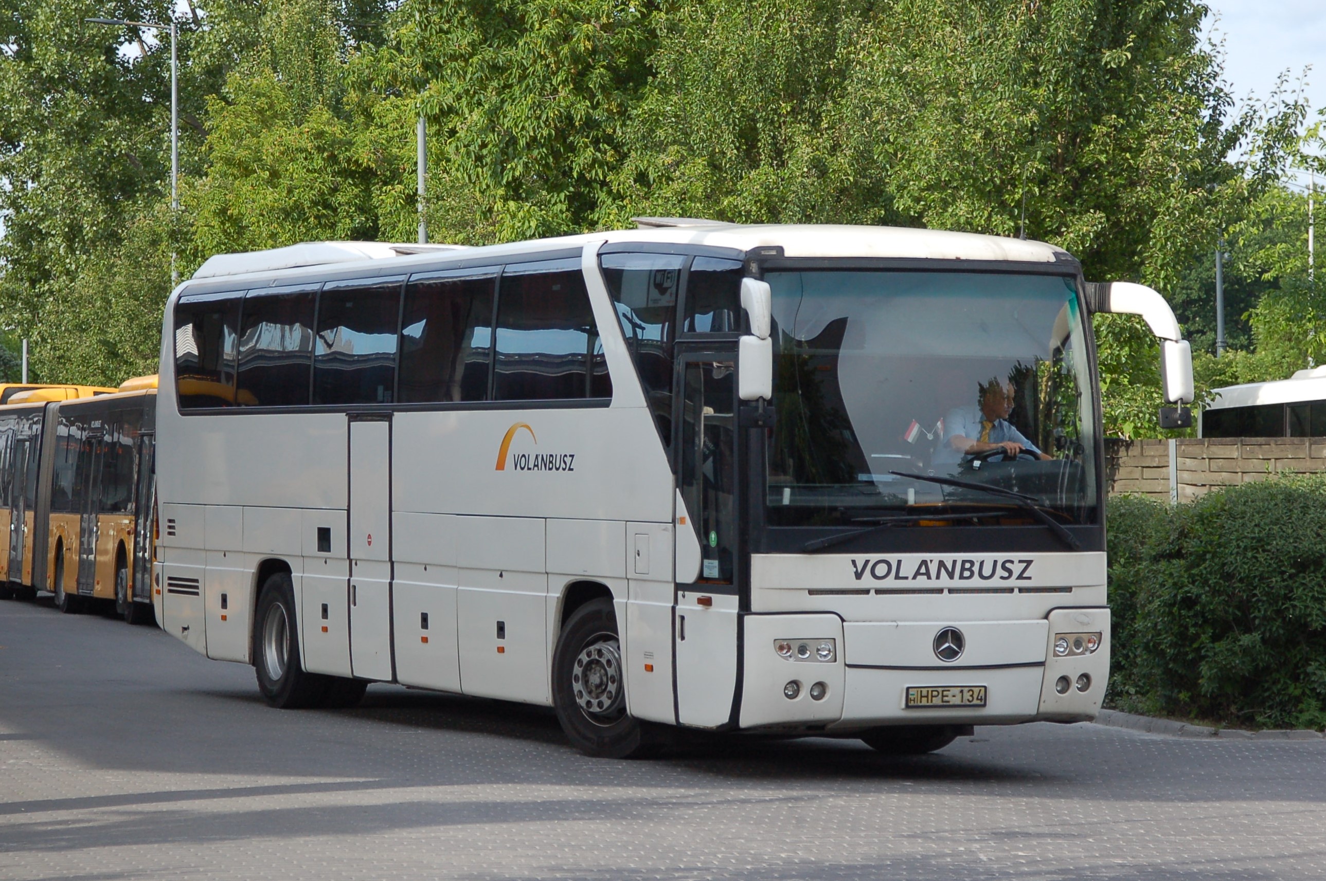 dsc_1952.JPG