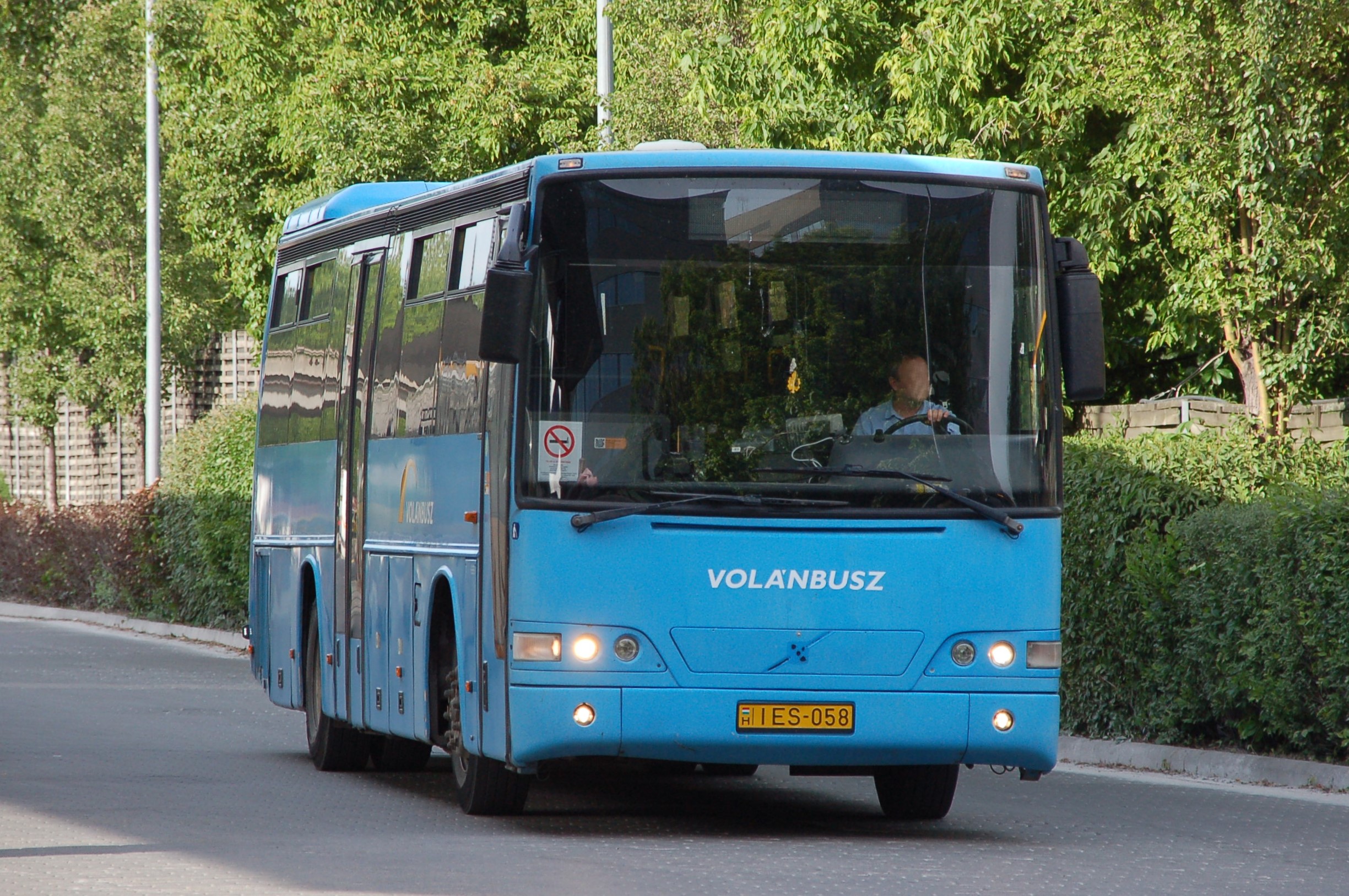 dsc_1955.JPG