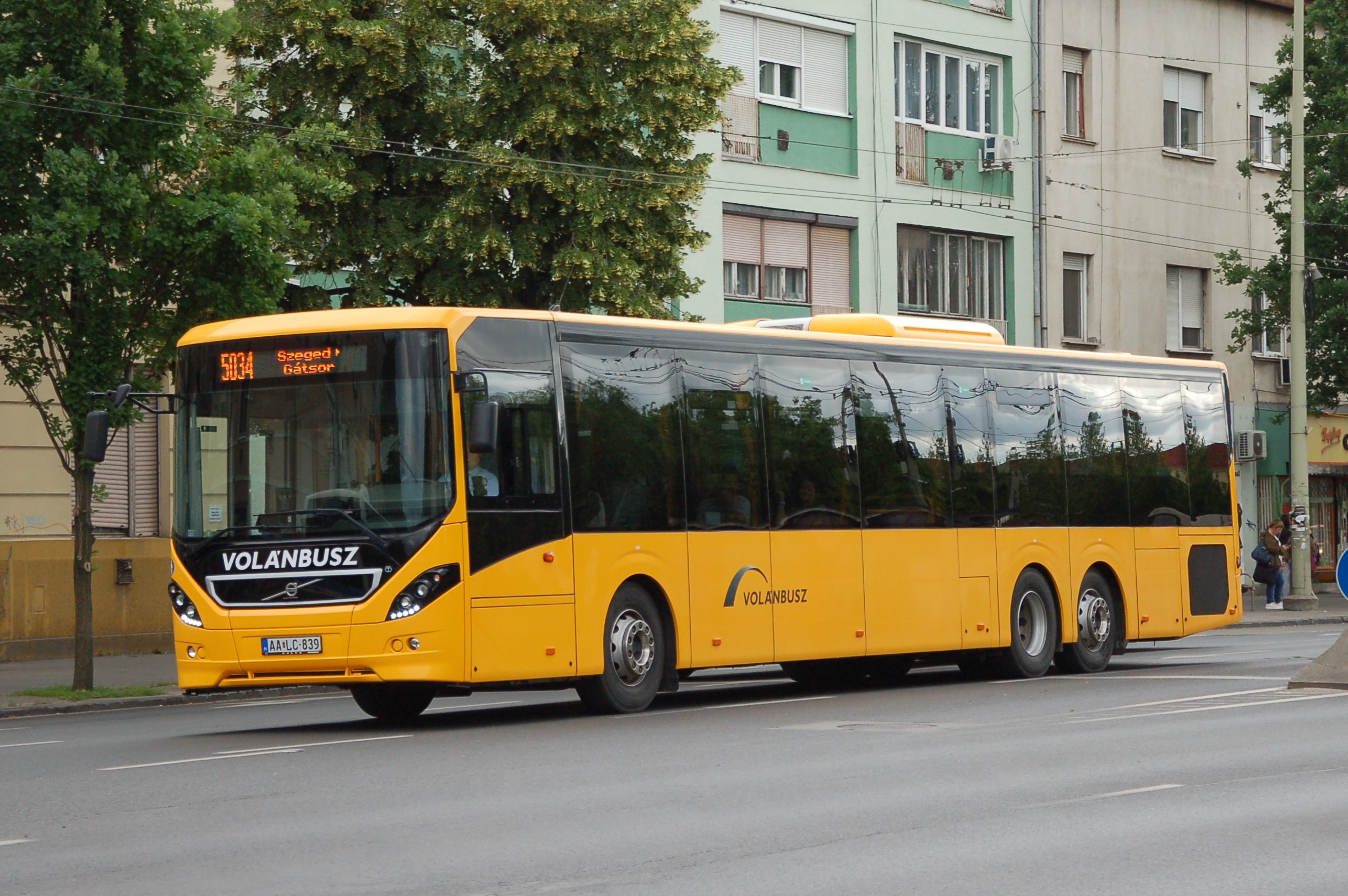 dsc_2133.JPG