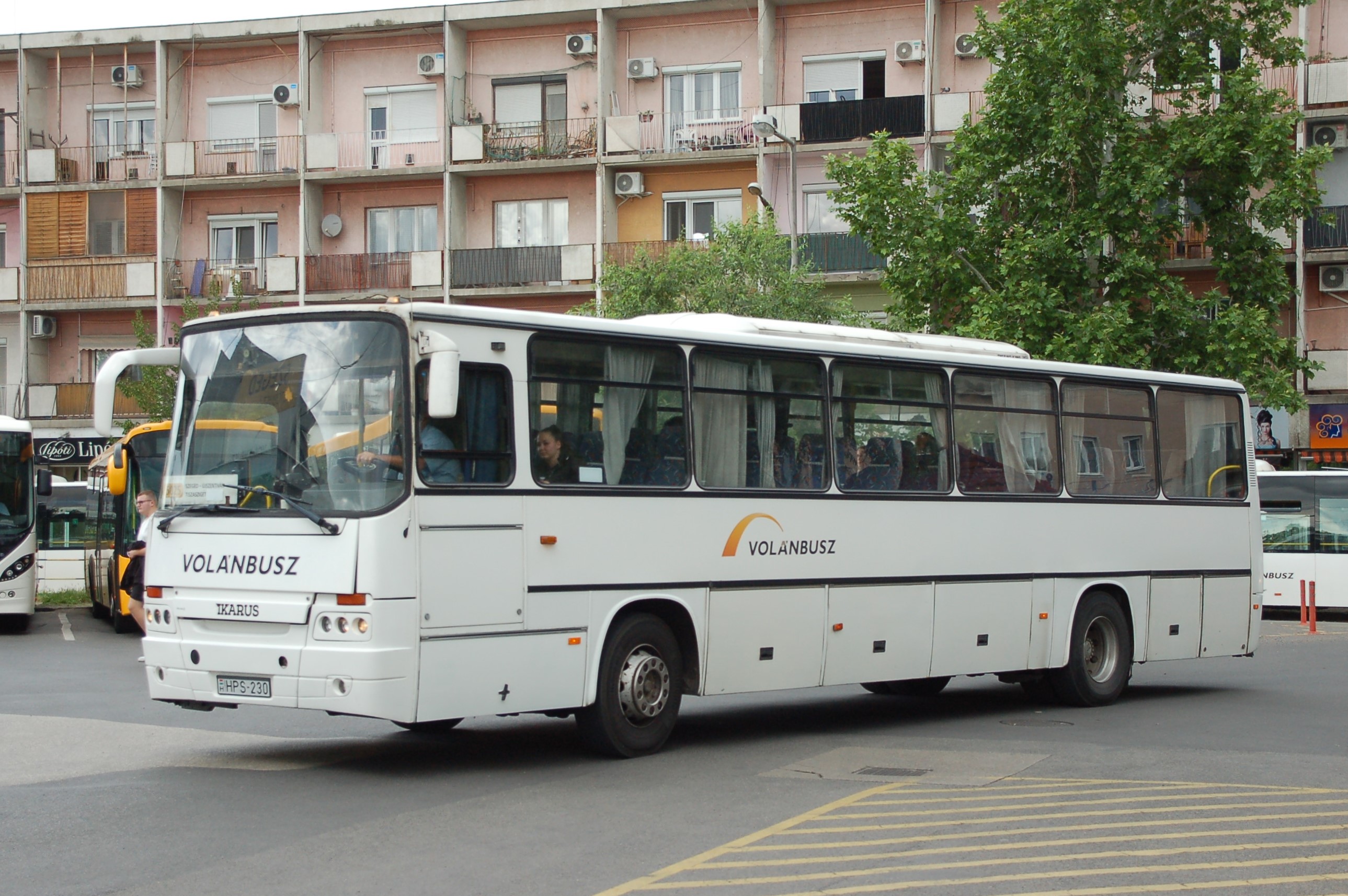 dsc_2156.JPG
