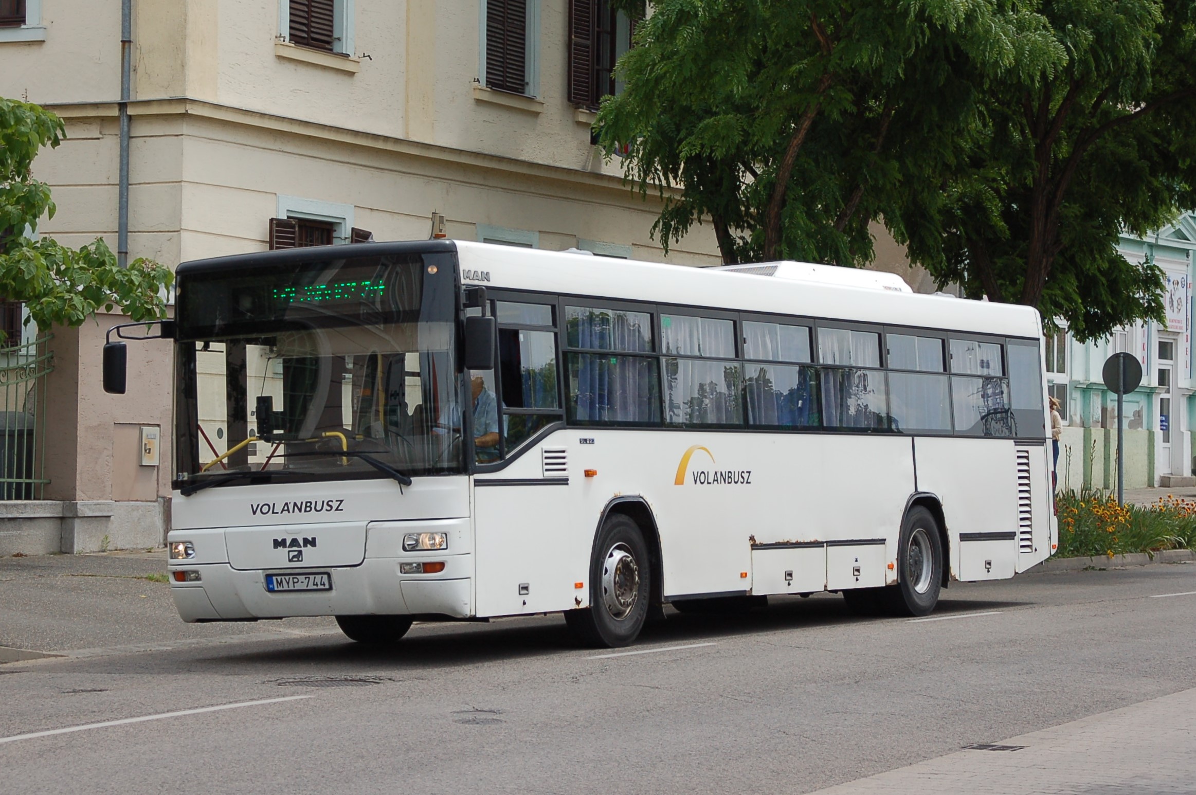 dsc_2253.JPG