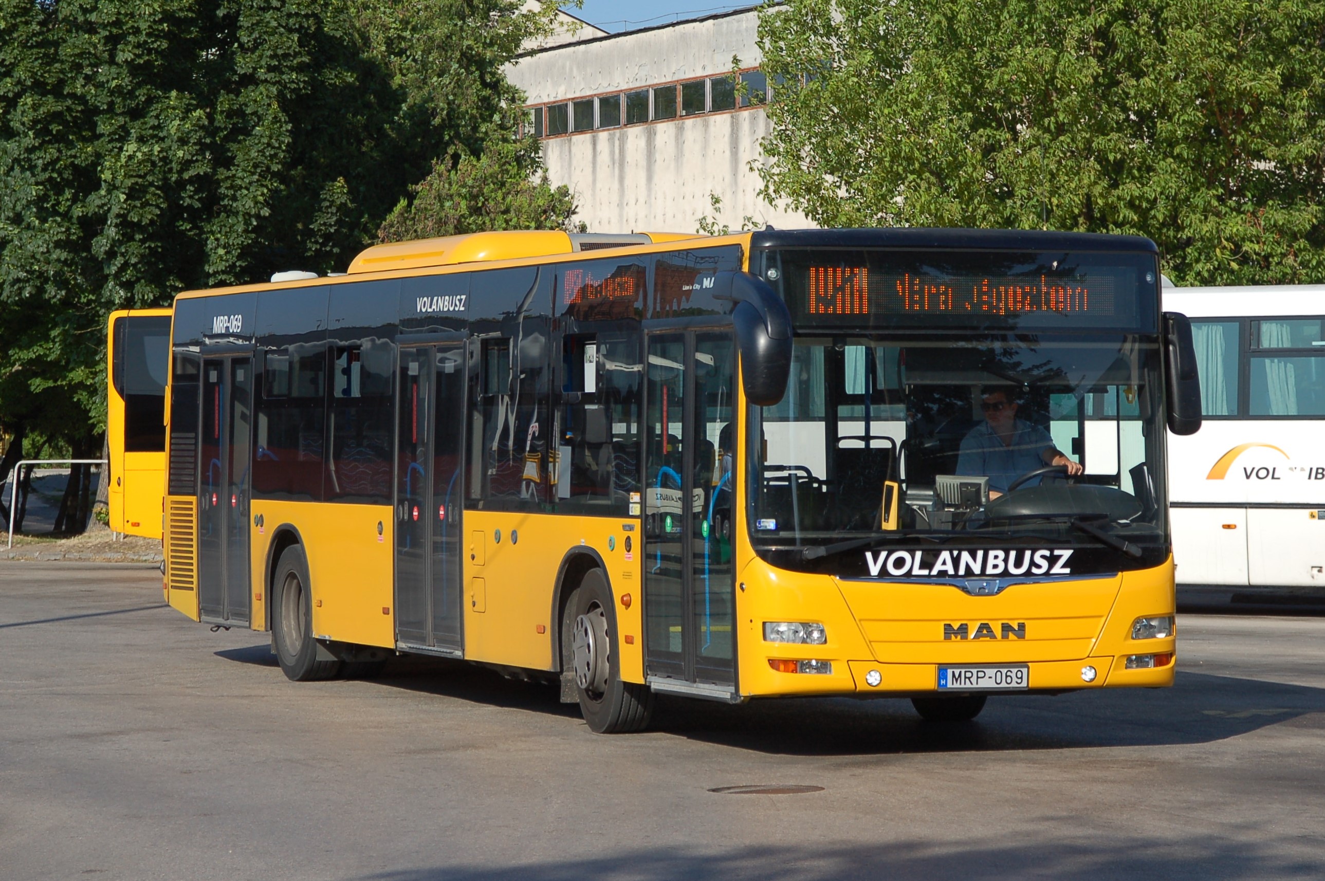 dsc_2506.JPG