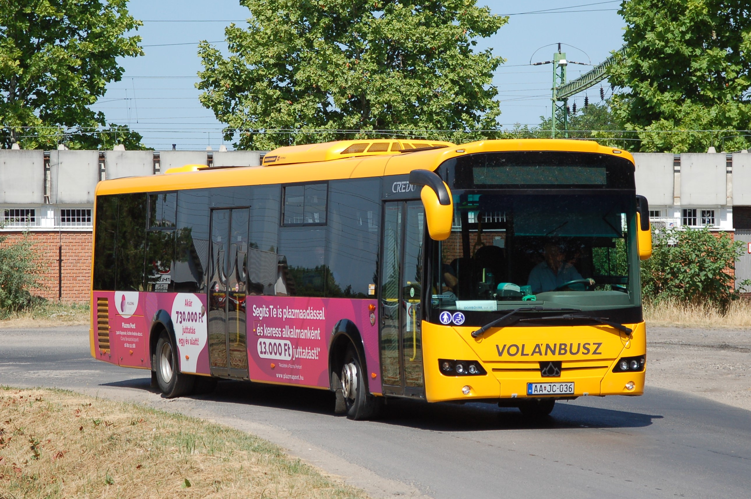 dsc_2579.JPG