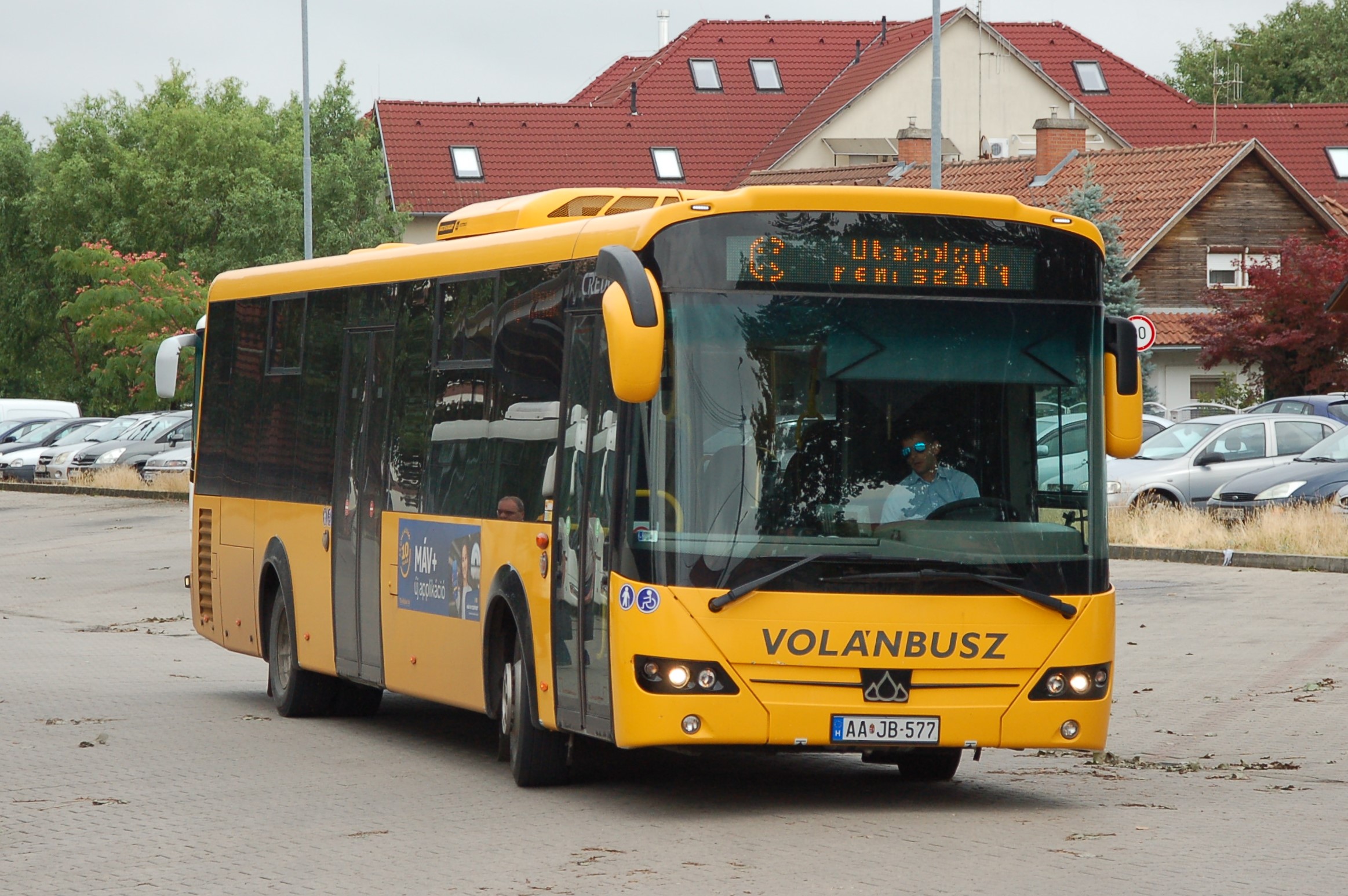 dsc_2902.JPG