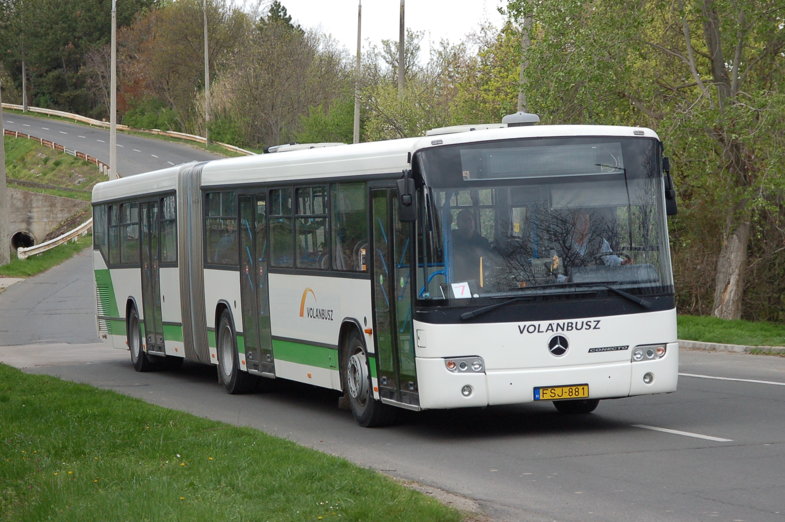 fsj881-1.JPG