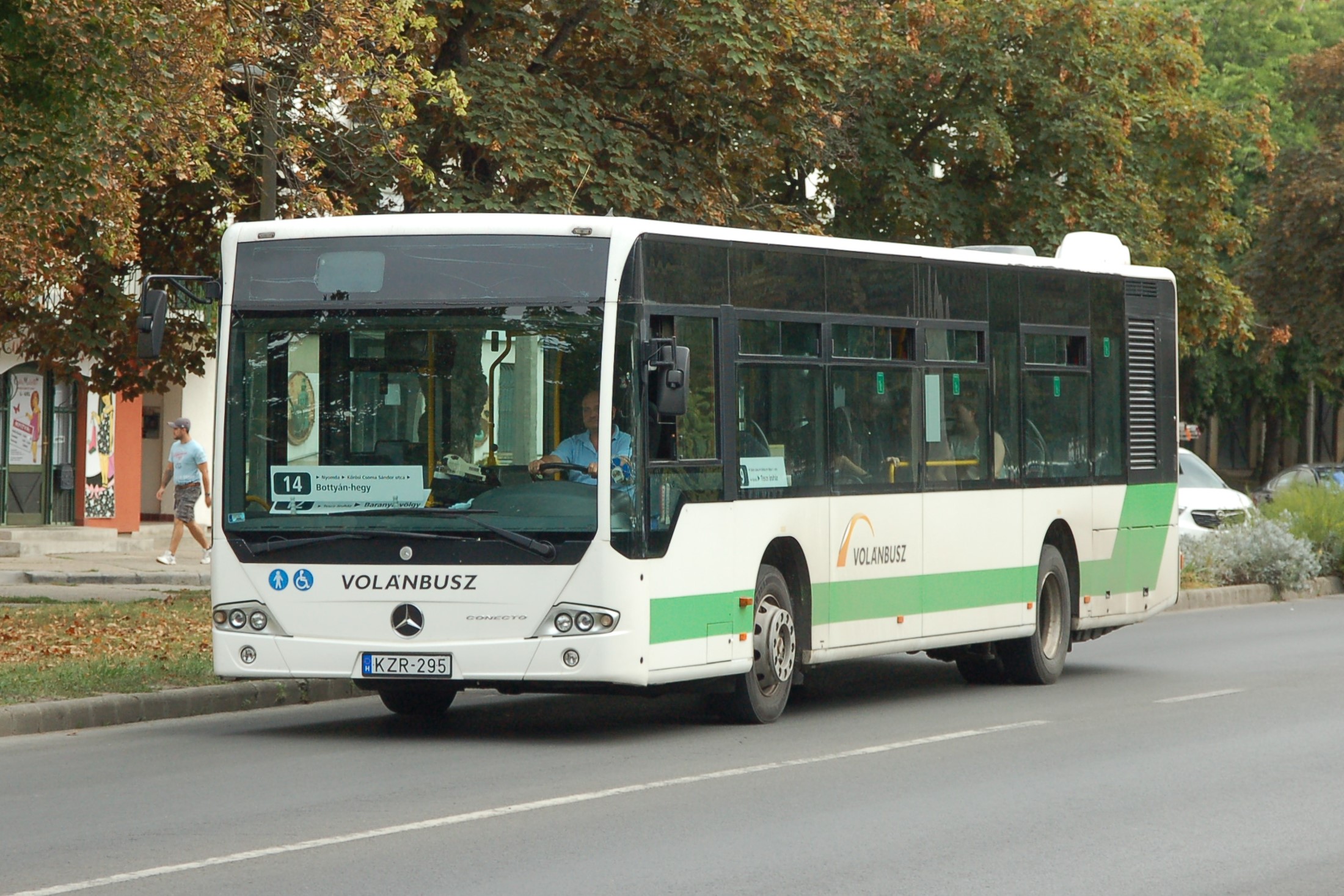 kzr295-1.JPG