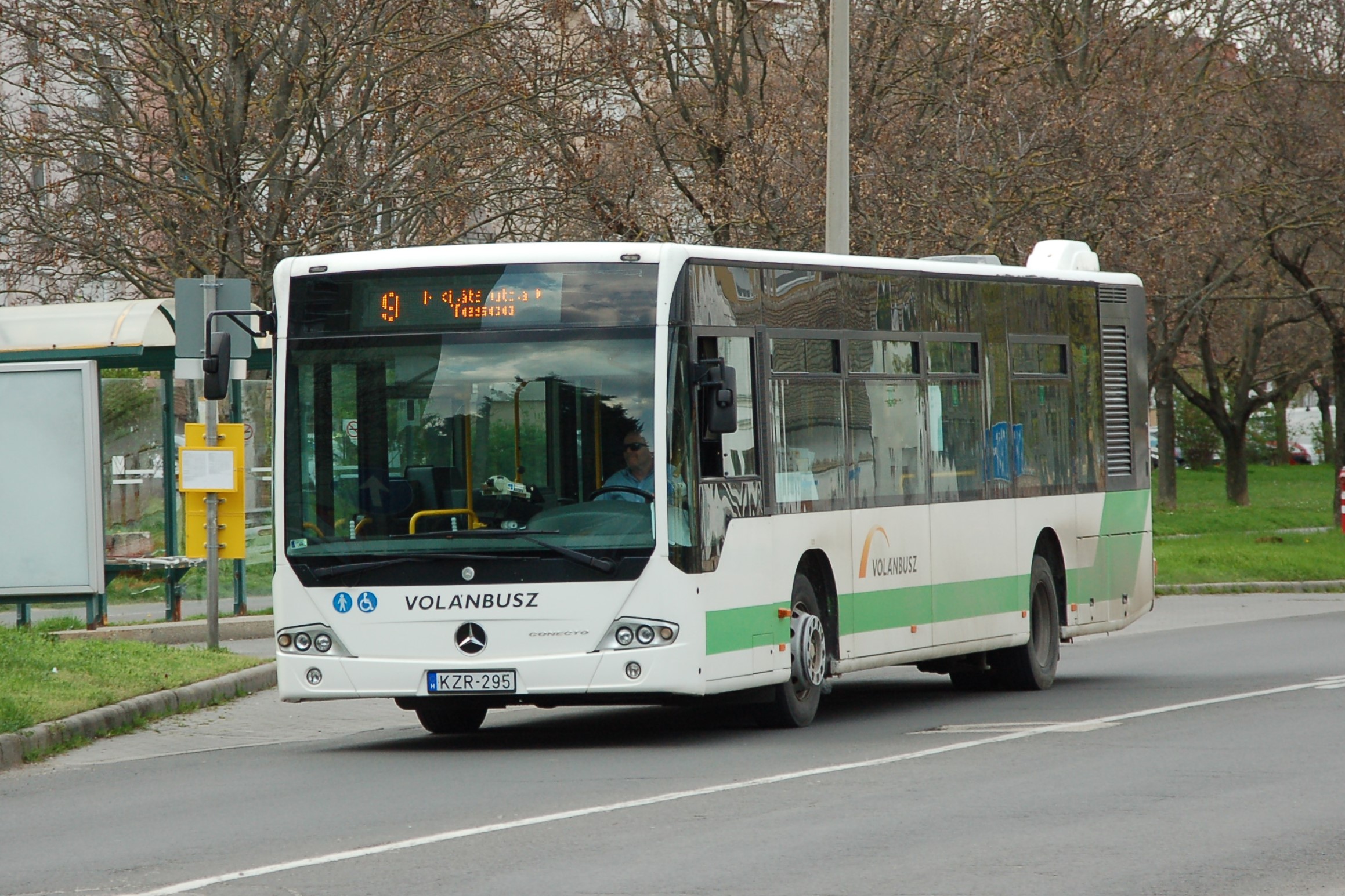 kzr295-2.JPG
