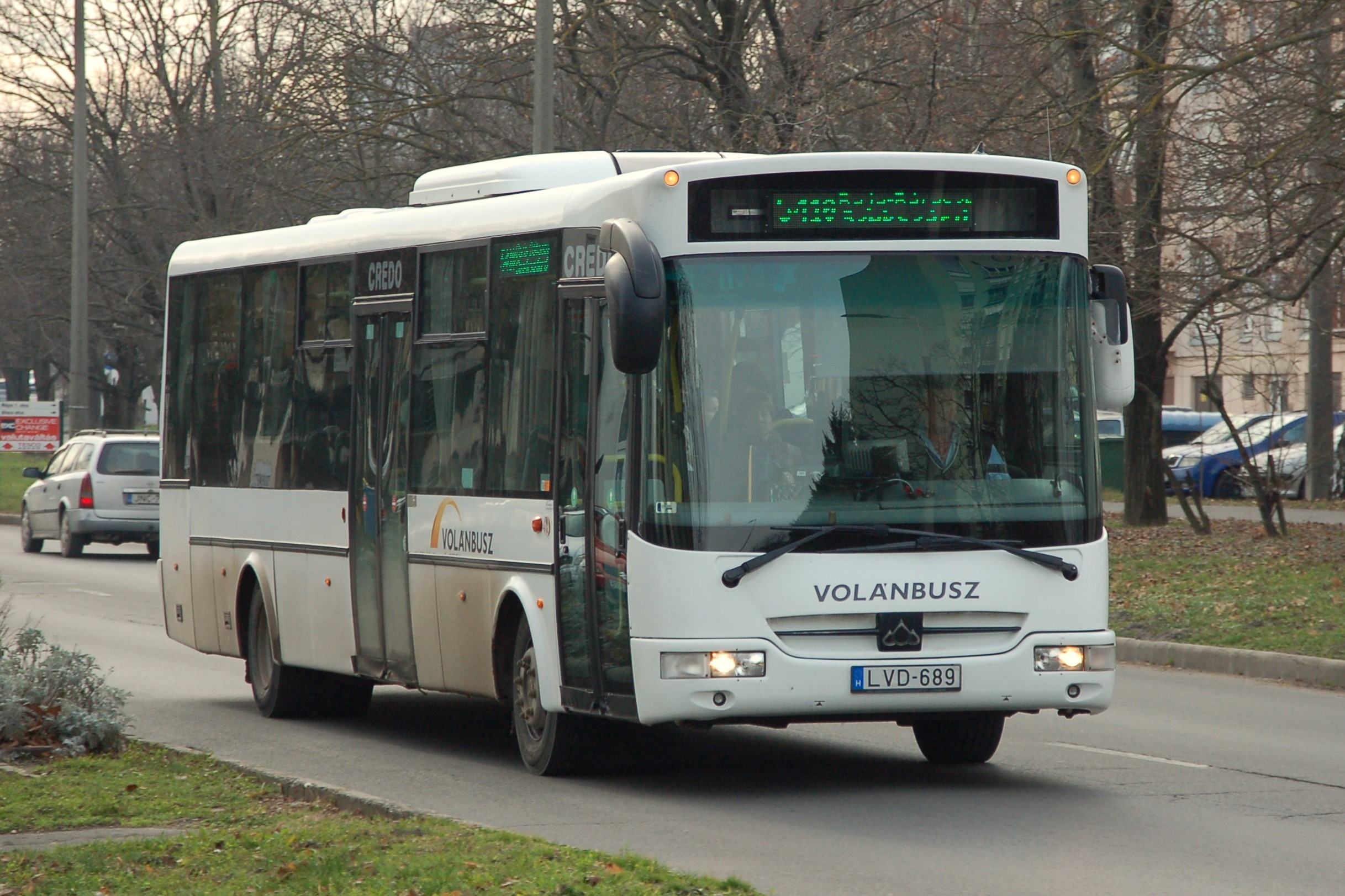 lvd689.JPG