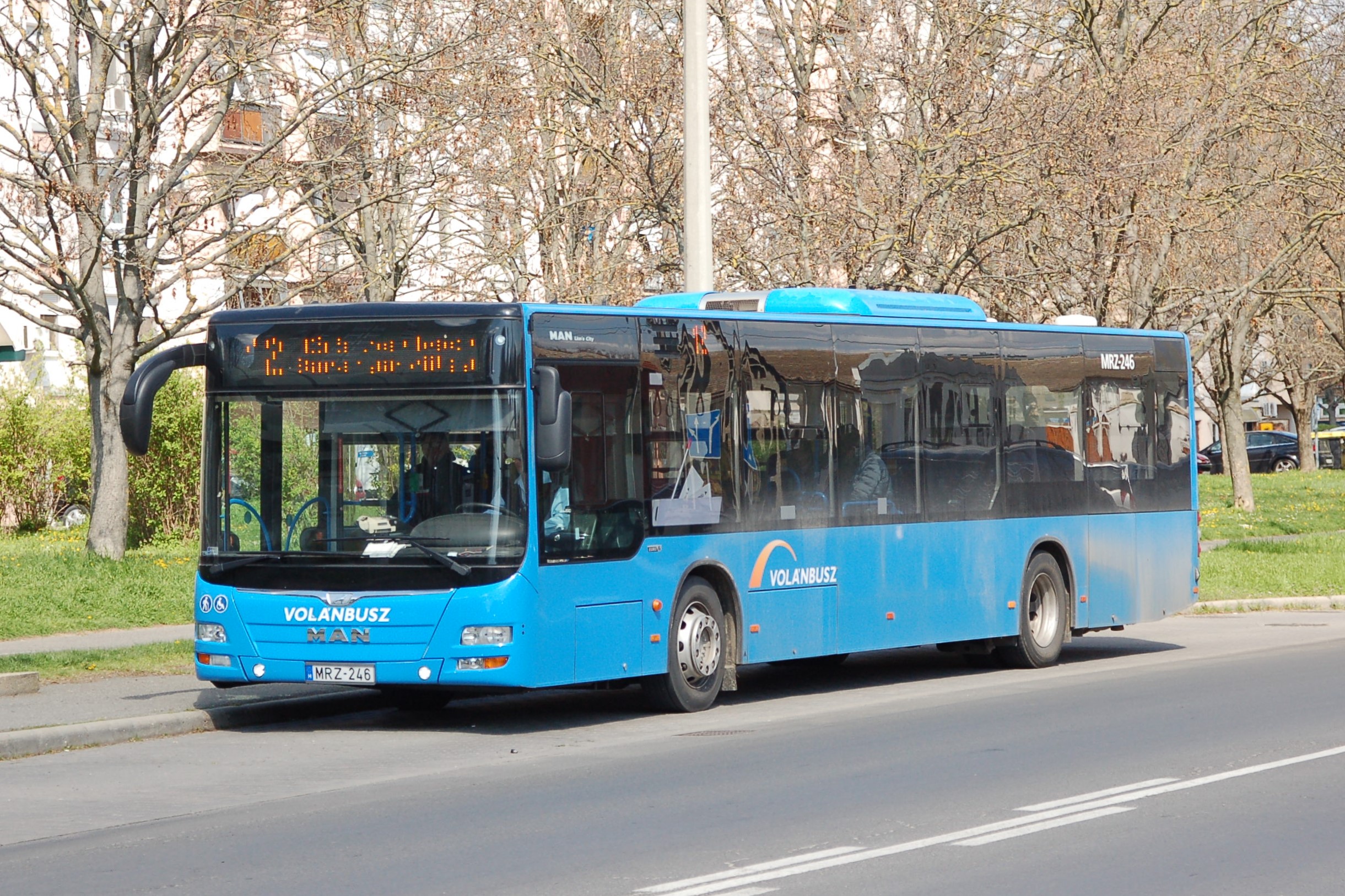mrz246-1.JPG
