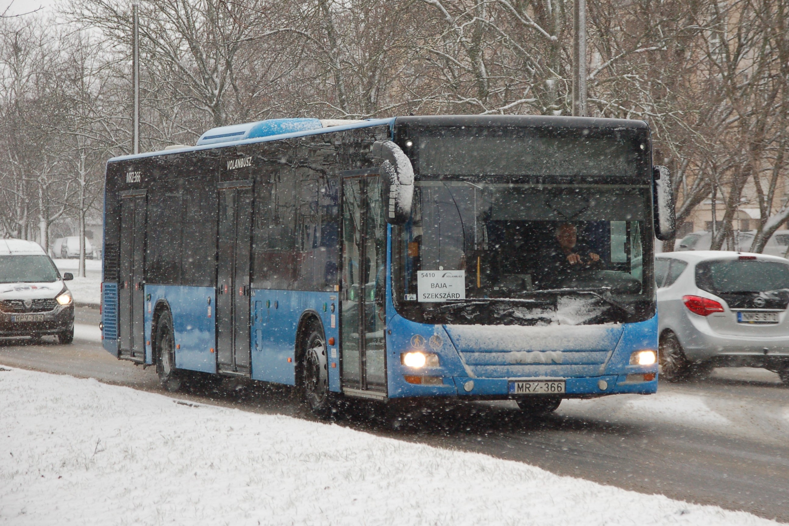 mrz366.JPG