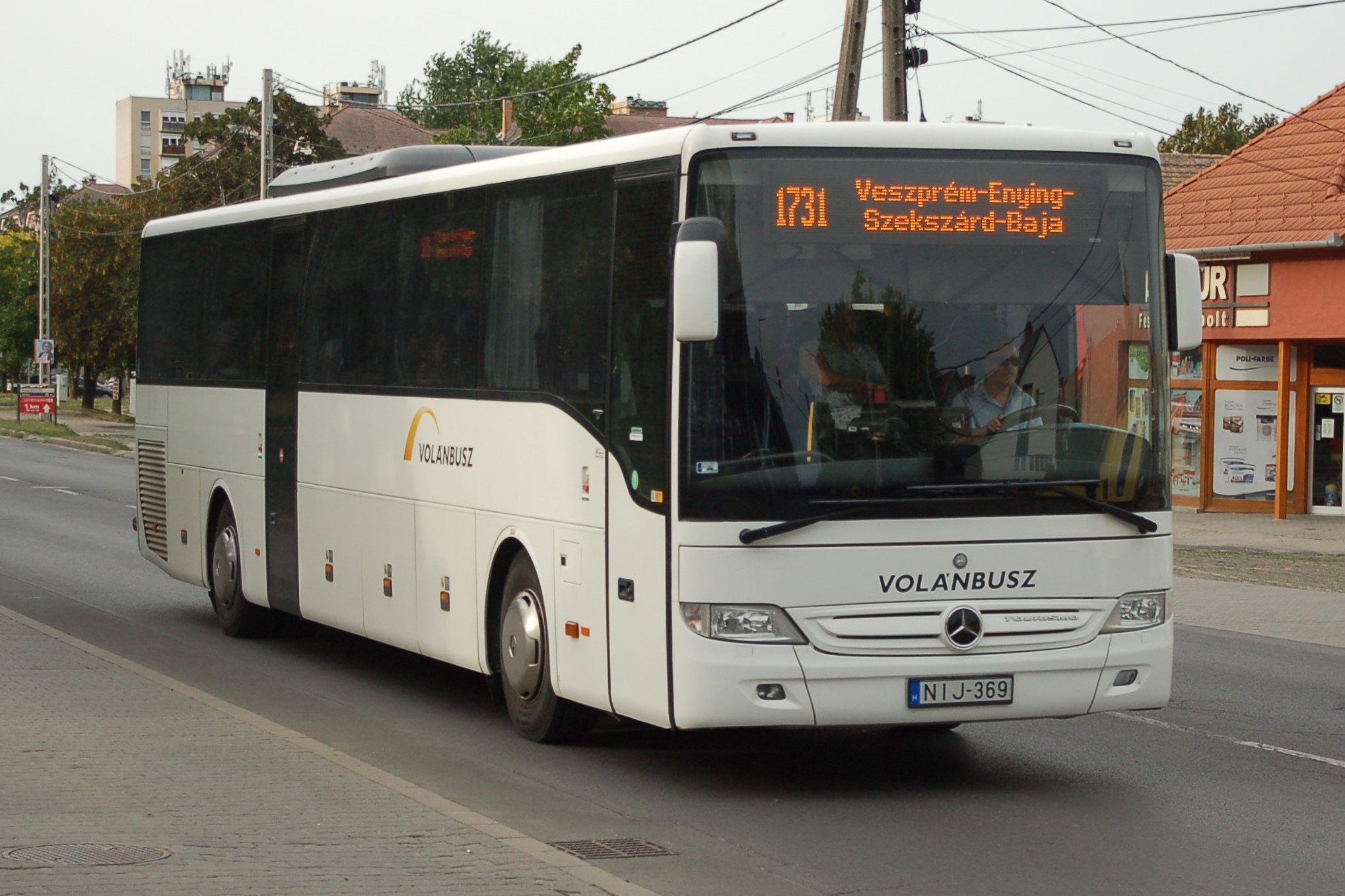 nij369.JPG