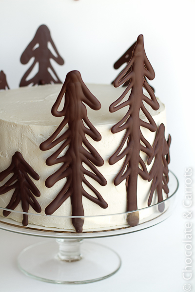 Chocolate-Raspberry-Forest-Cake-9869.jpg