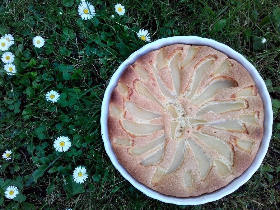 piknik pite citromos körtével