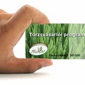 Törzsvásárlói program - kényelmesen.