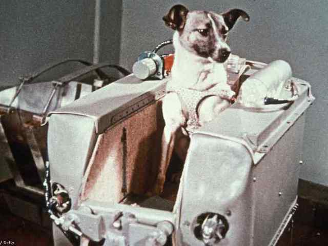 Kutya az űrben – 1957. november 3.