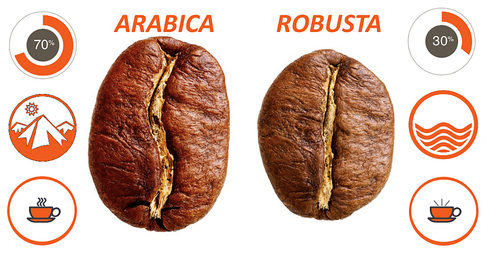 caffe-arabica-robusta960x500.jpg