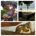 Mai napunk:jungle trecking a Flora Bay-be,bananevo mokusnezes,malaj kislanyokkal bandazas,csillezes a tengerparton