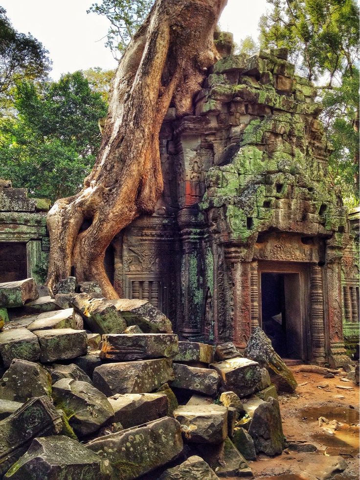 Angkor Wat