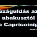 Száguldás az abakusztól a Capricoinig