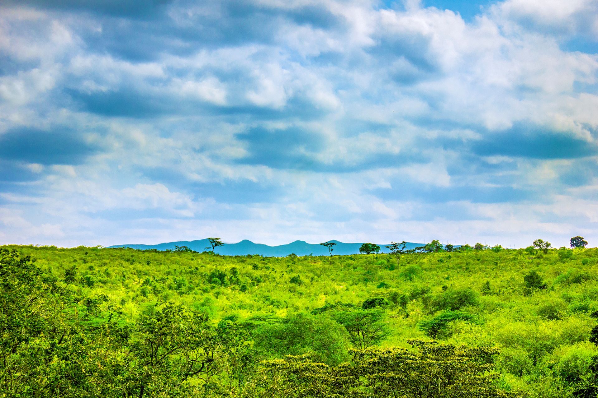 ngong_hills_nairobi_kenya.jpg