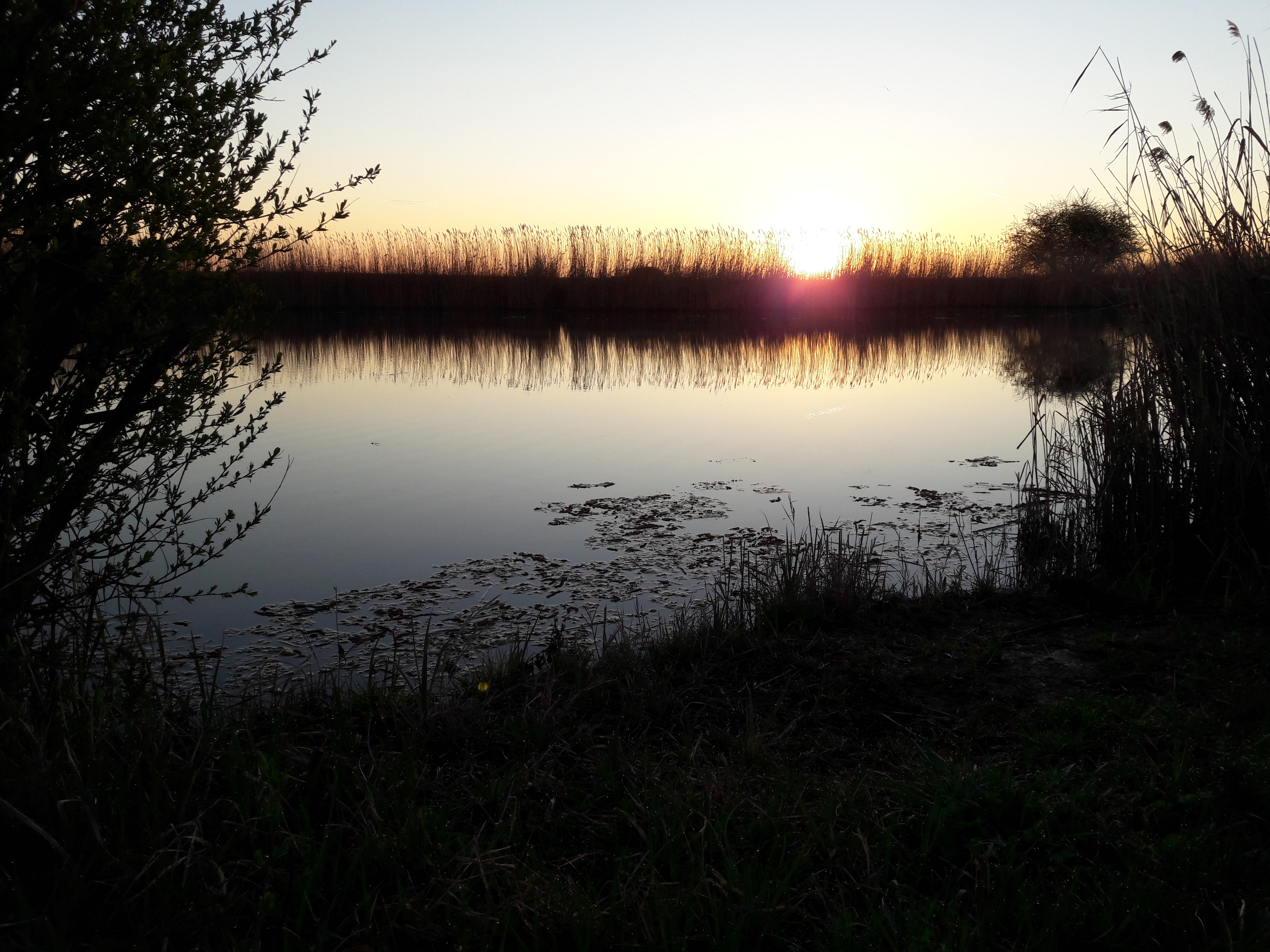 20170329_064002.jpg