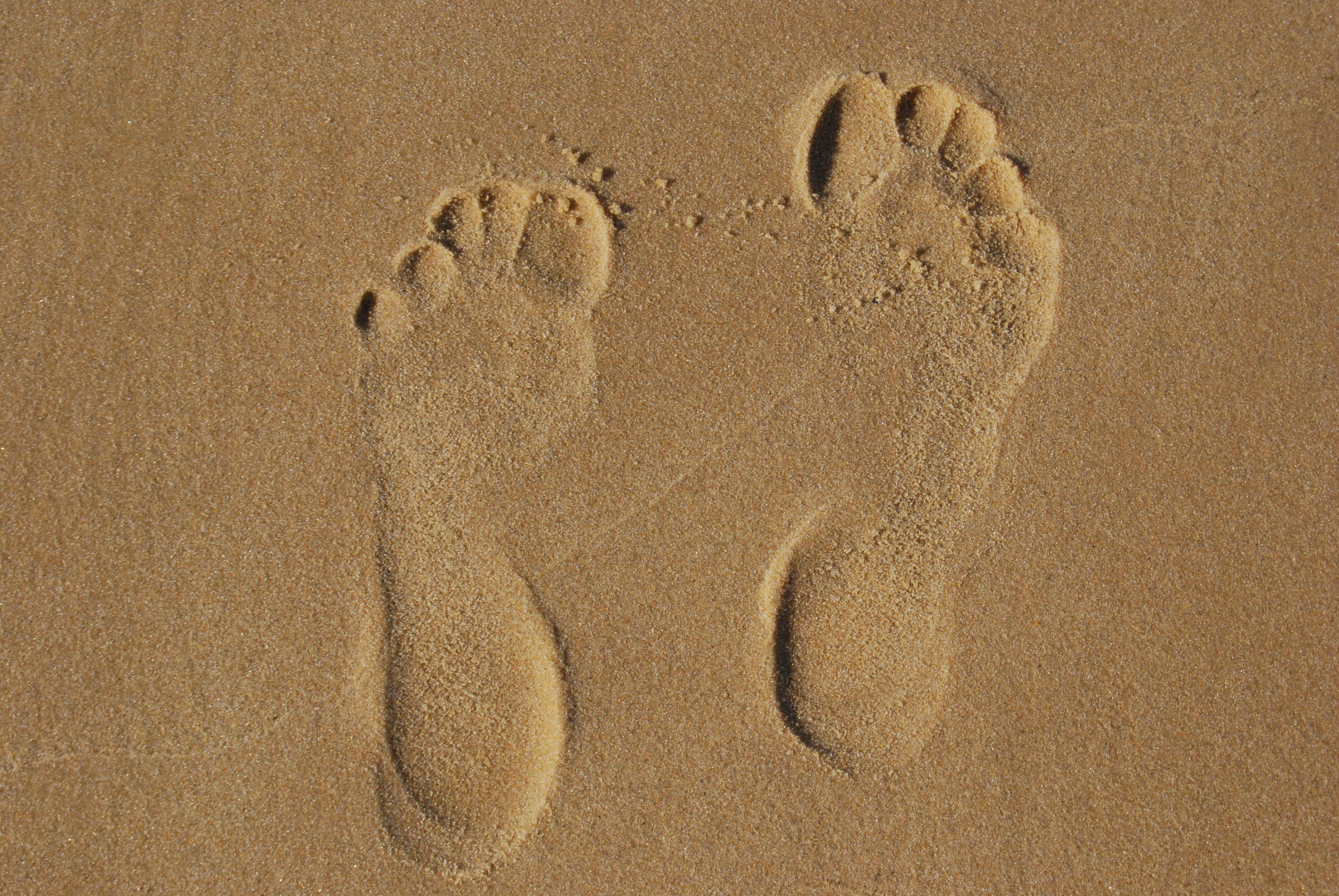 barefoot-beach-brown-sand-273980.jpg
