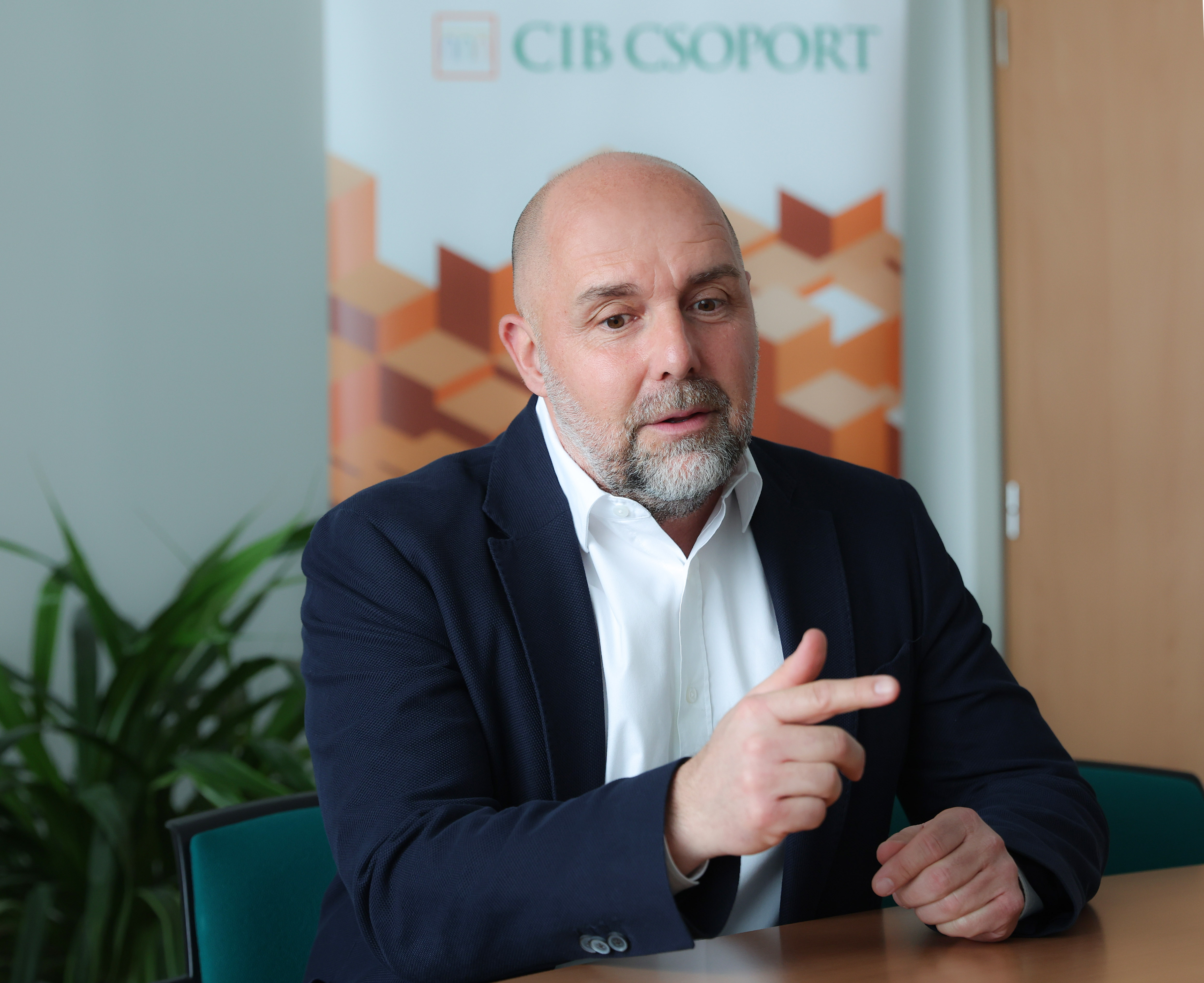 cib_fekete_csaba_cikk_vr3_6646.jpg