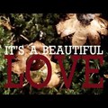 Veres Mónika Nika - Beautiful Love (Official Lyrics Video)   ♪