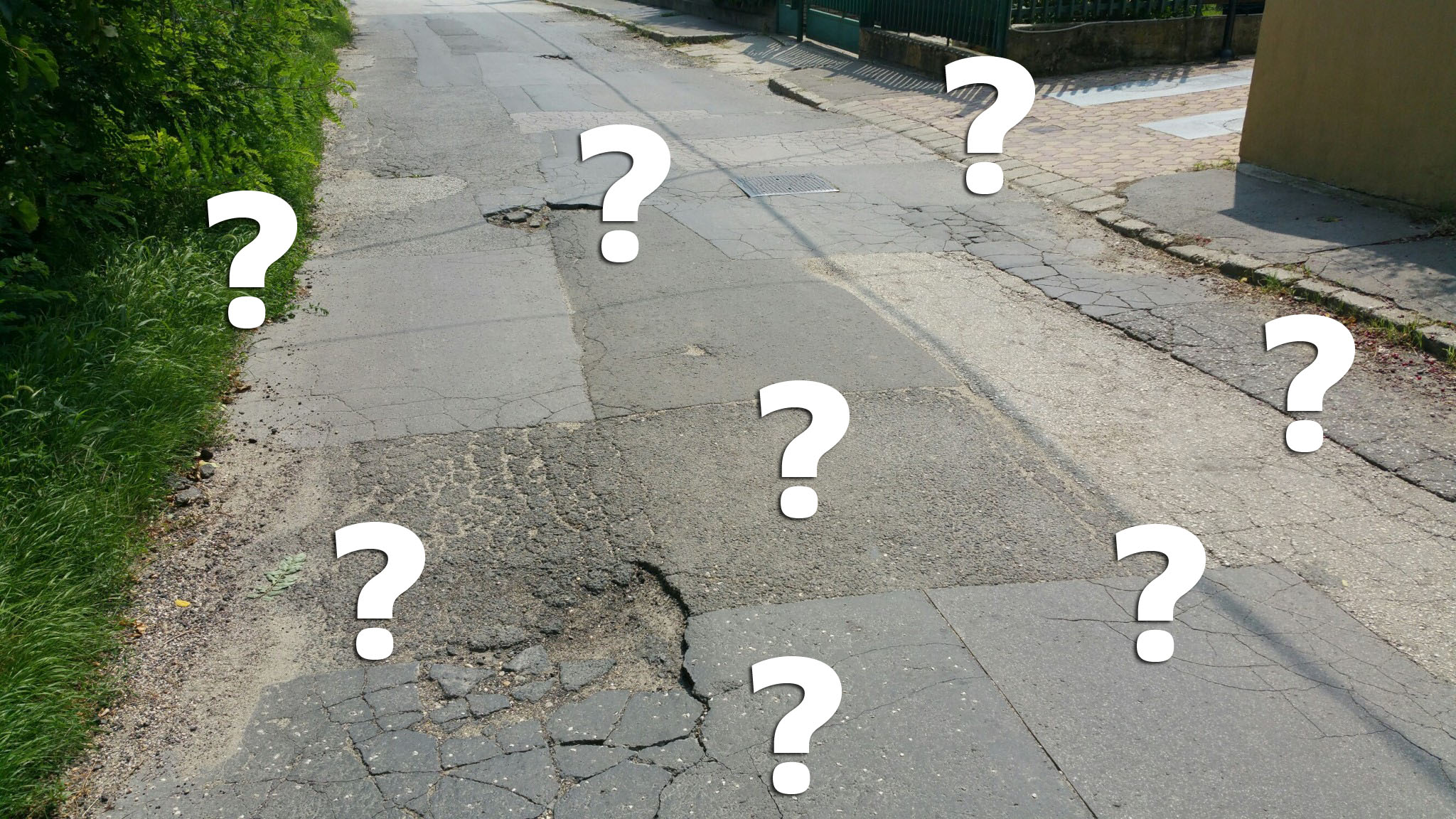 jarda1.jpg