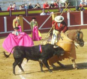 Spain_Fuenjirola_Novillada_28april07_picador_bull__c__LACS.jpg